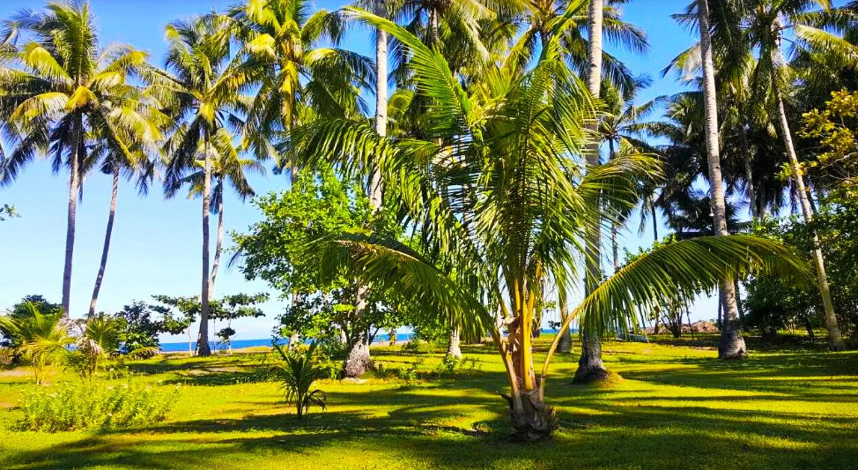 Natural landscape, Garden in SomeWhere Else Boutique Resort