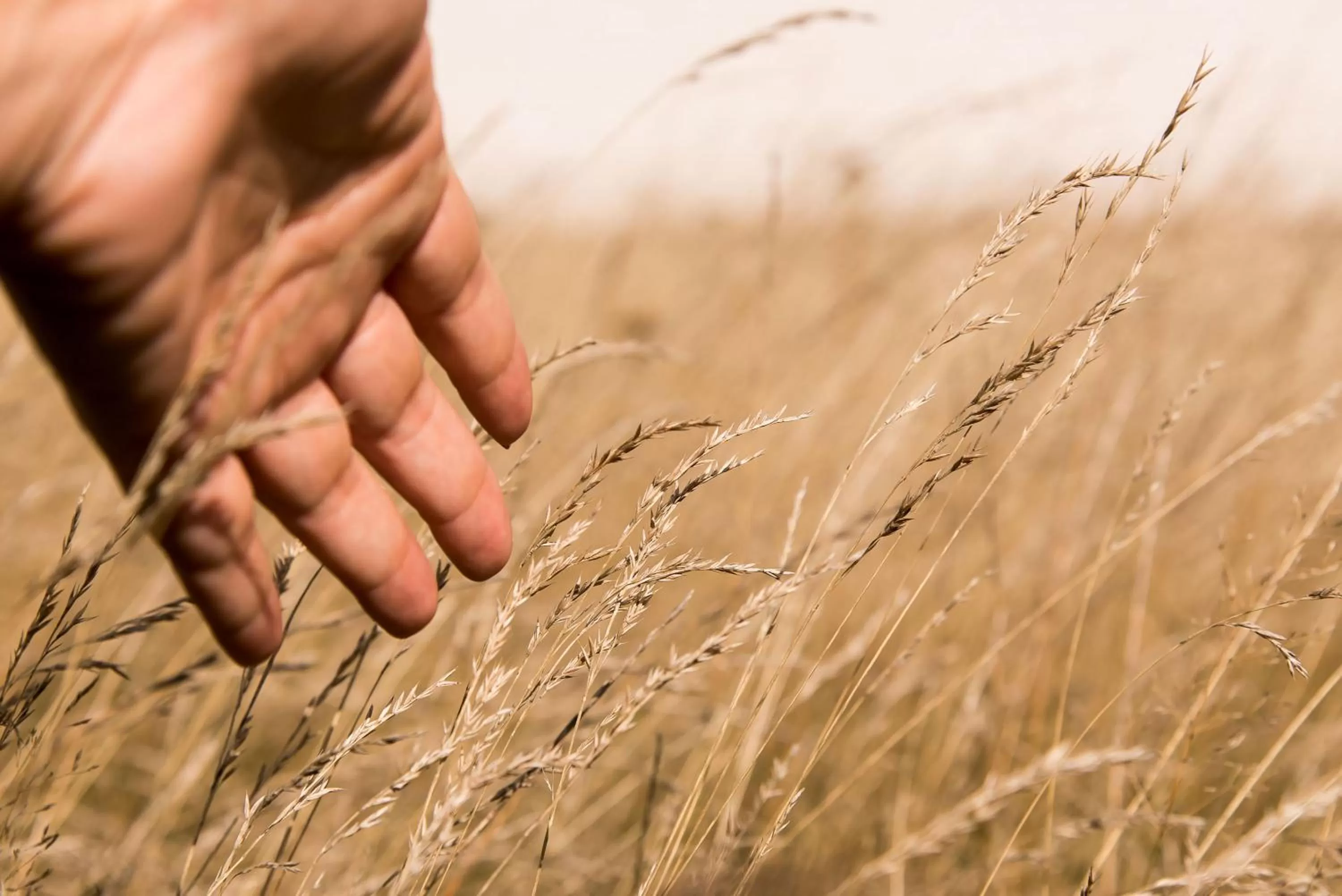 Natural landscape in Billingehus