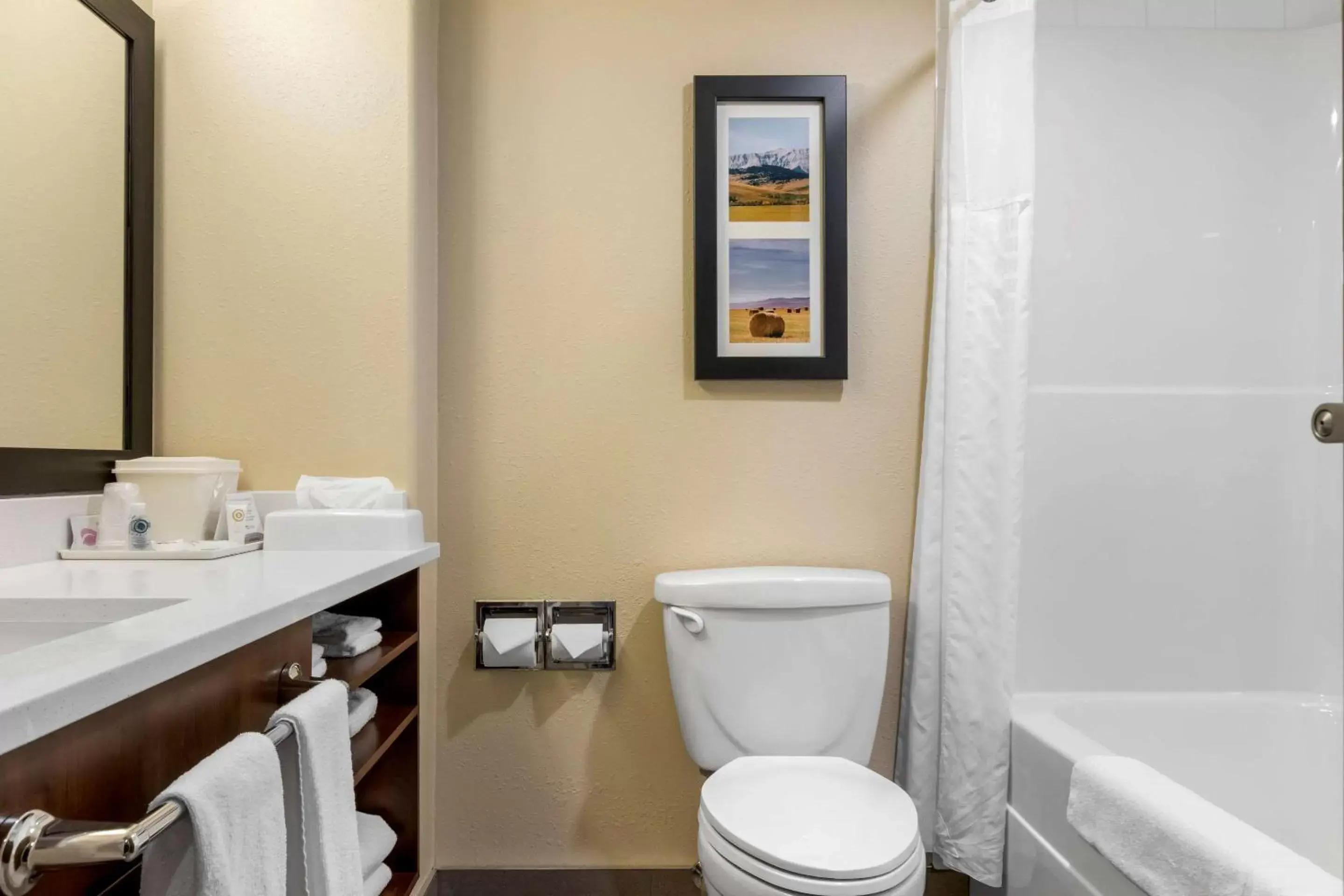 Toilet, Bathroom in Comfort Inn Lethbridge