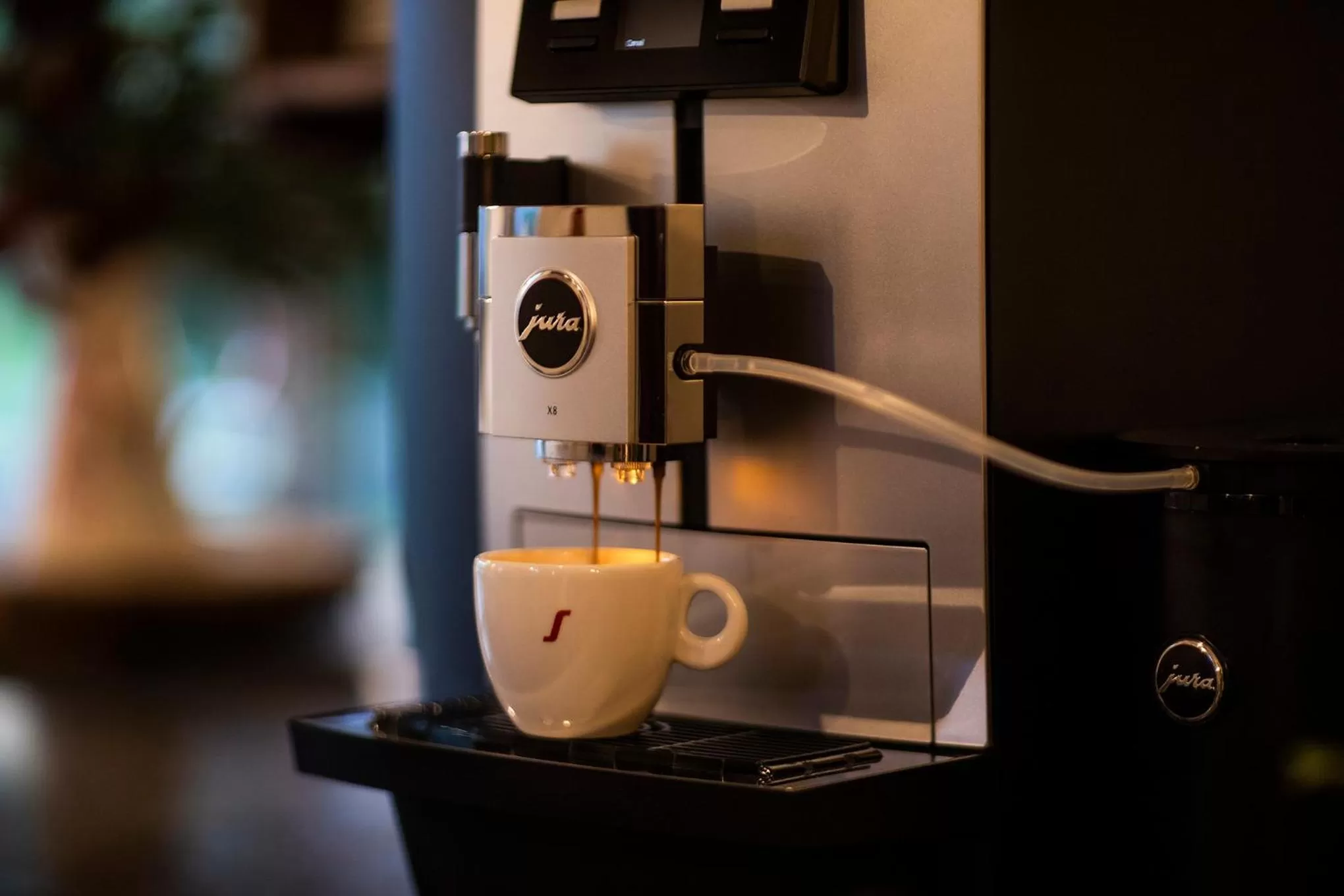 Coffee/tea facilities in House Troha - Rooms & Apartments