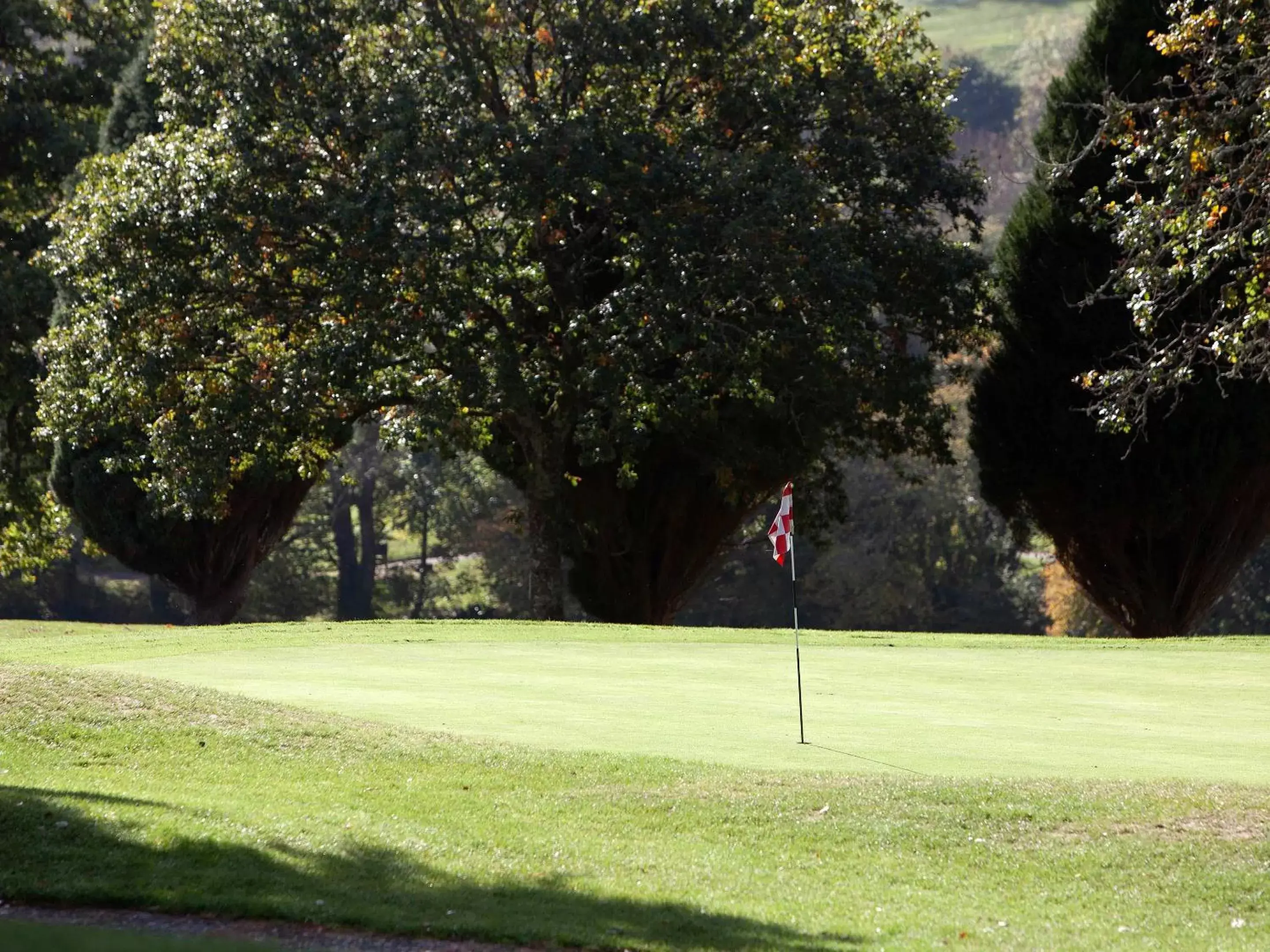 Golfcourse in Elfordleigh Hotel