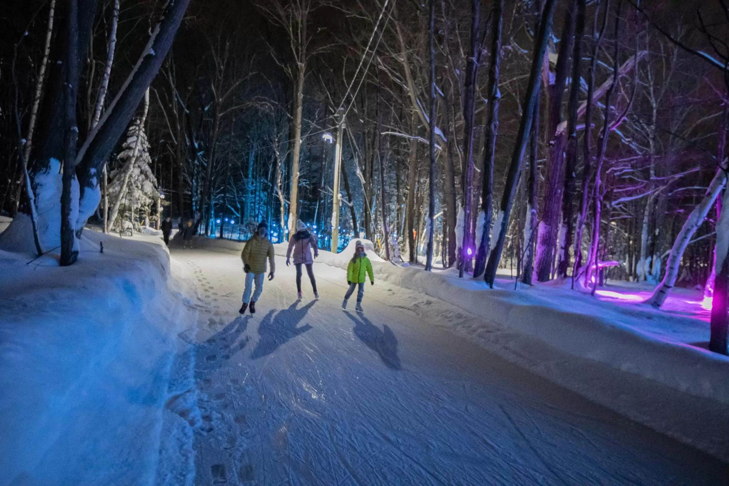 Night in Blue Mountain Resort Home Collection