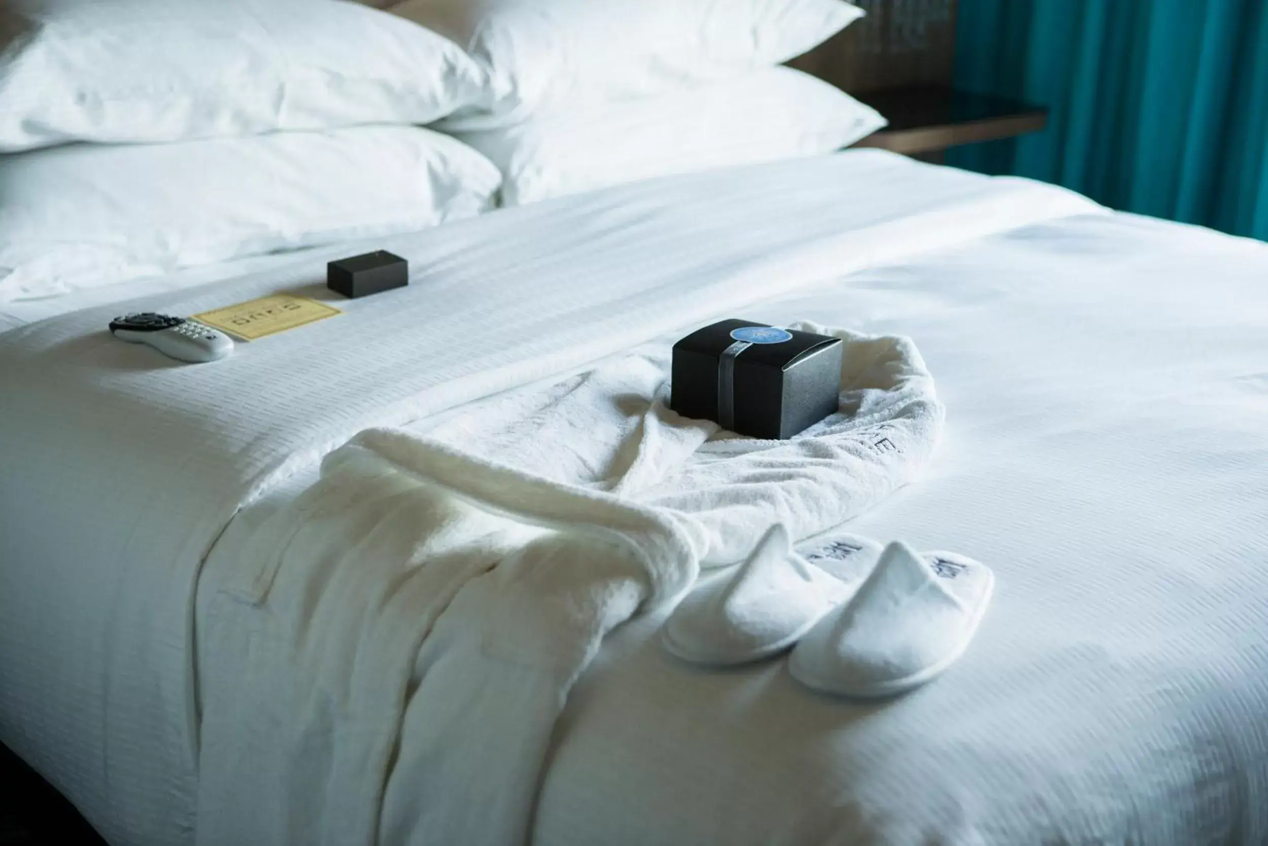 Double Room with Two Double Beds in Hotel Nyack, a JdV by Hyatt Hotel Double Room with Two Double Beds in Hotel Nyack, a JdV by Hyatt Hotel