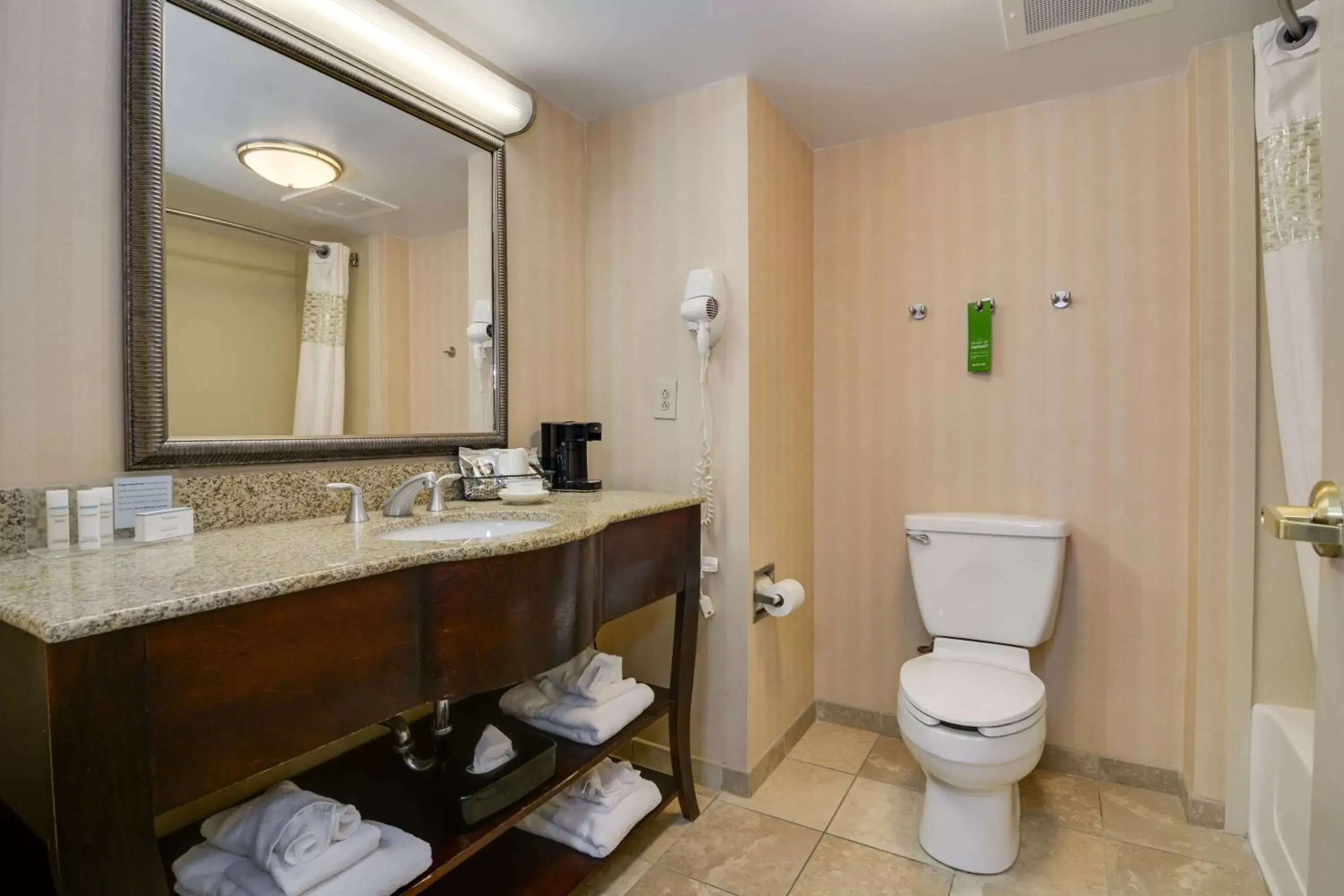 Bathroom in Hampton Inn Atlanta-Fairburn