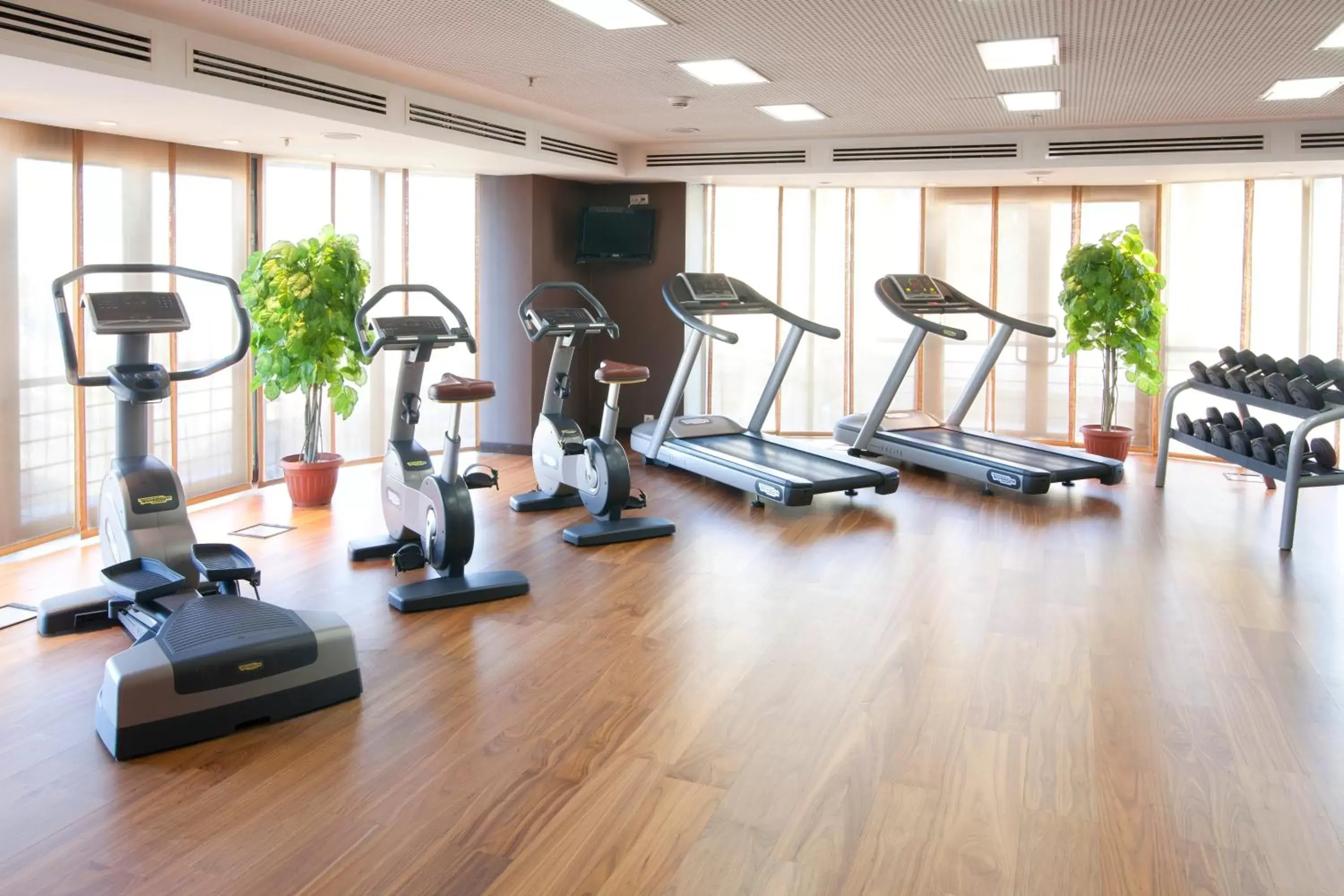 Fitness centre/facilities, Fitness Center/Facilities in Holiday Inn Almaty, an IHG Hotel