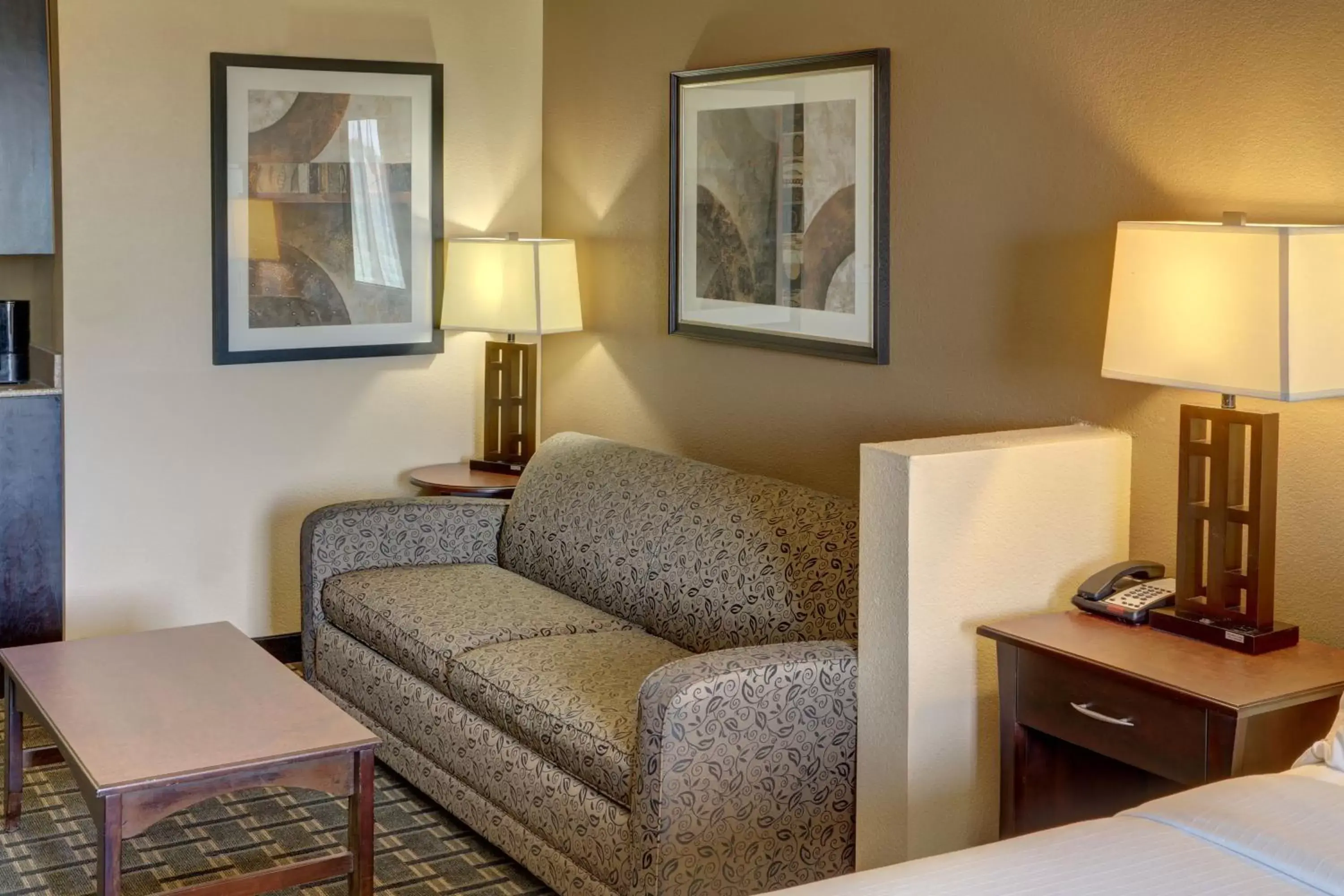 Bedroom, Seating Area in Holiday Inn Express Hotel & Suites Texarkana East, an IHG Hotel