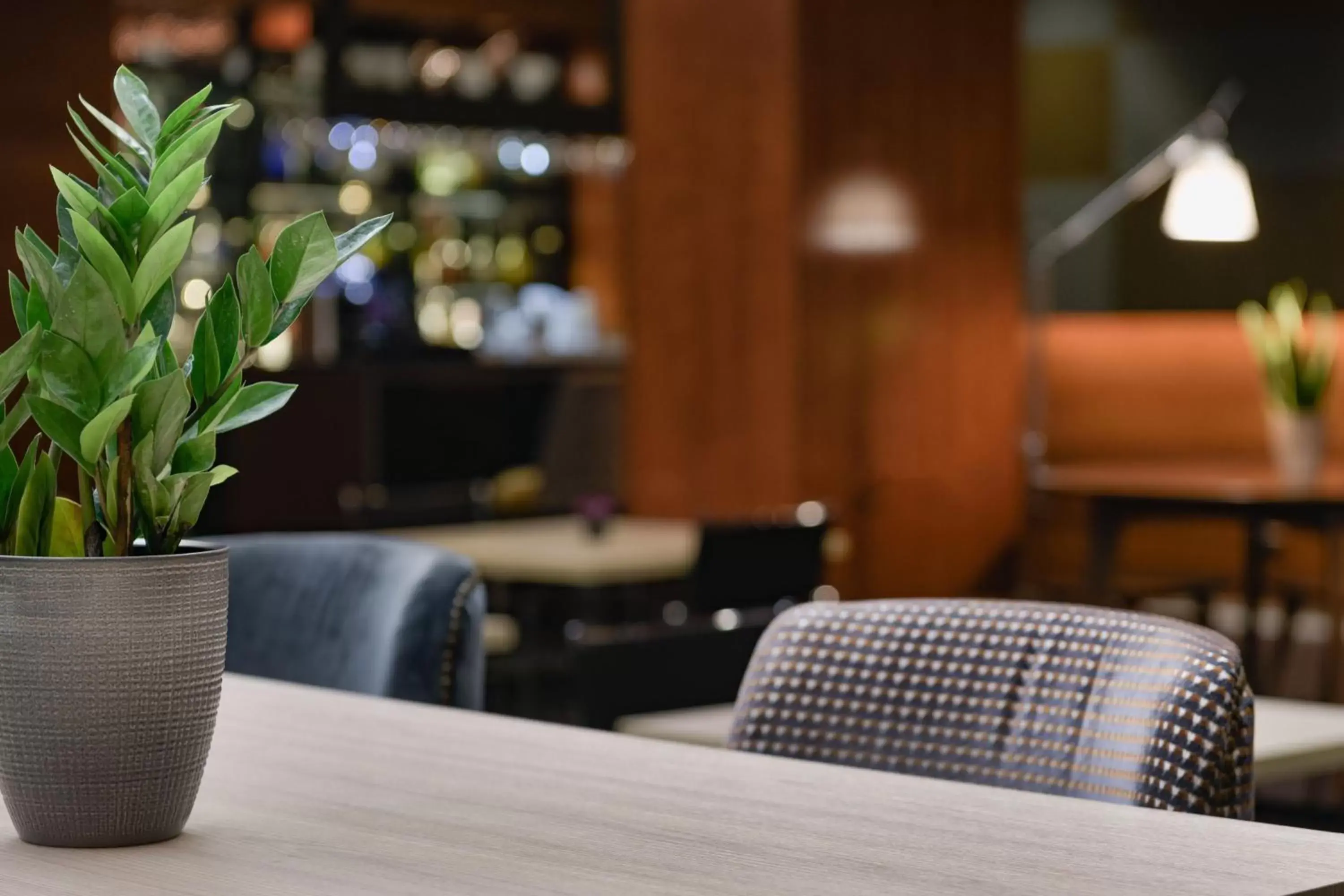 Lounge or bar, Restaurant/Places to Eat in AC Hotel León San Antonio by Marriott