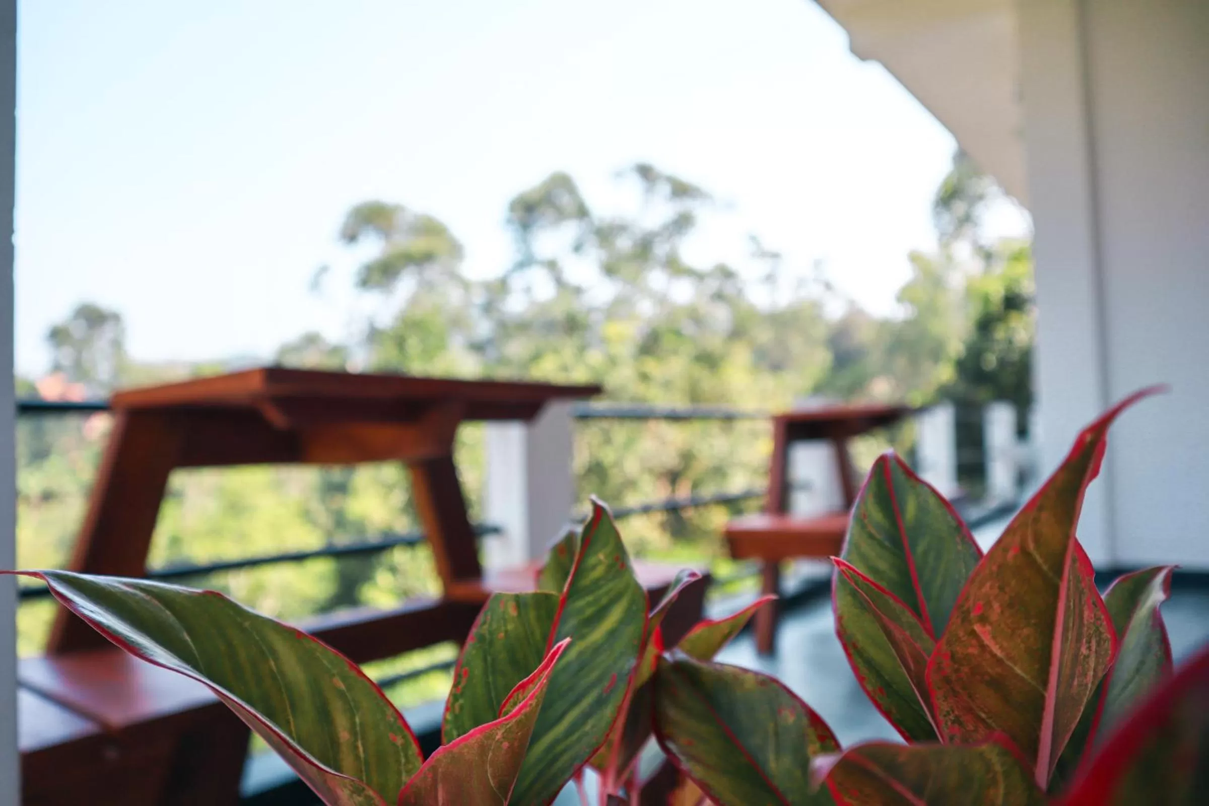Balcony/Terrace in Duet Hearts