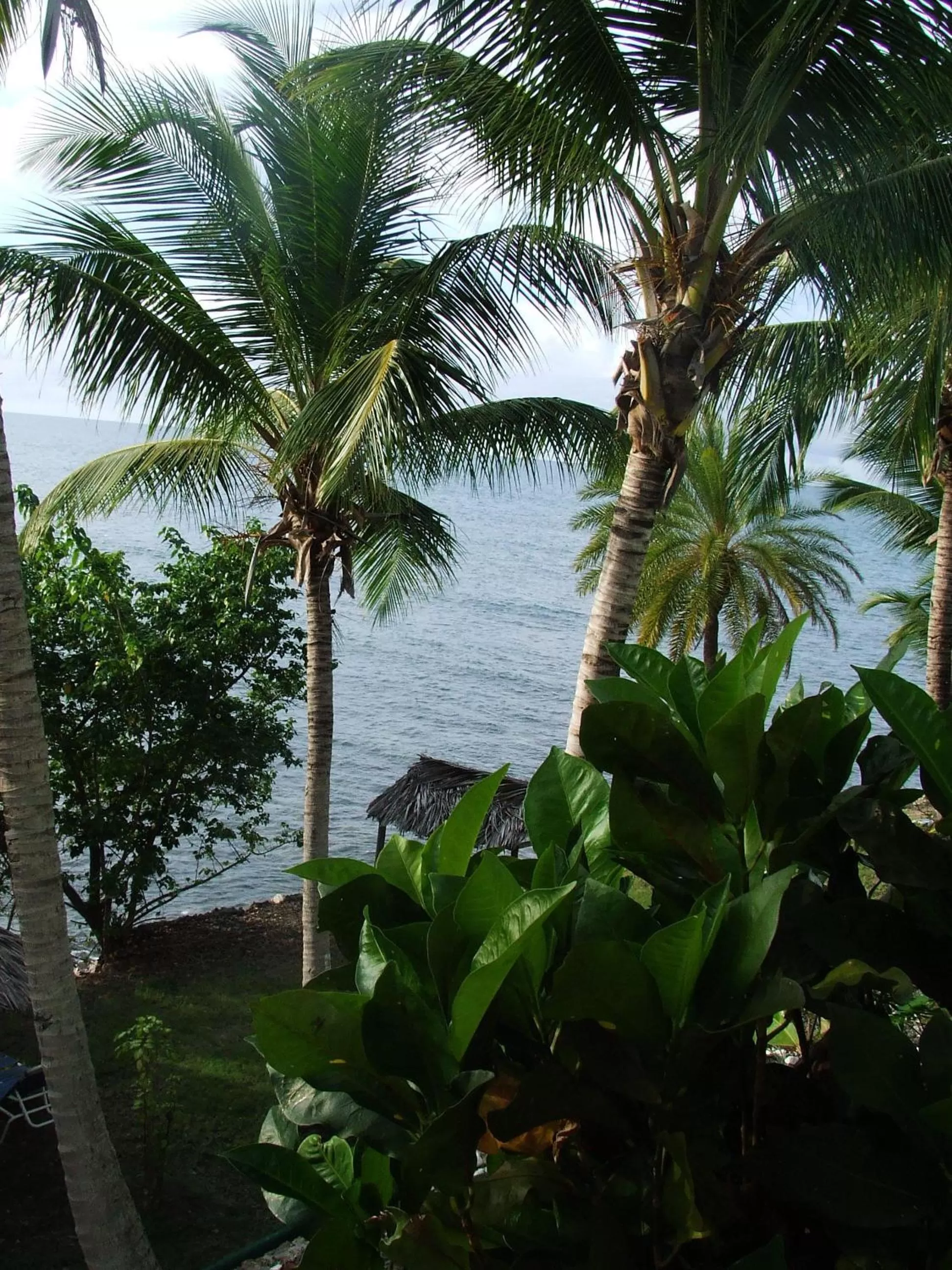 Day in Northshore Seaside Suites