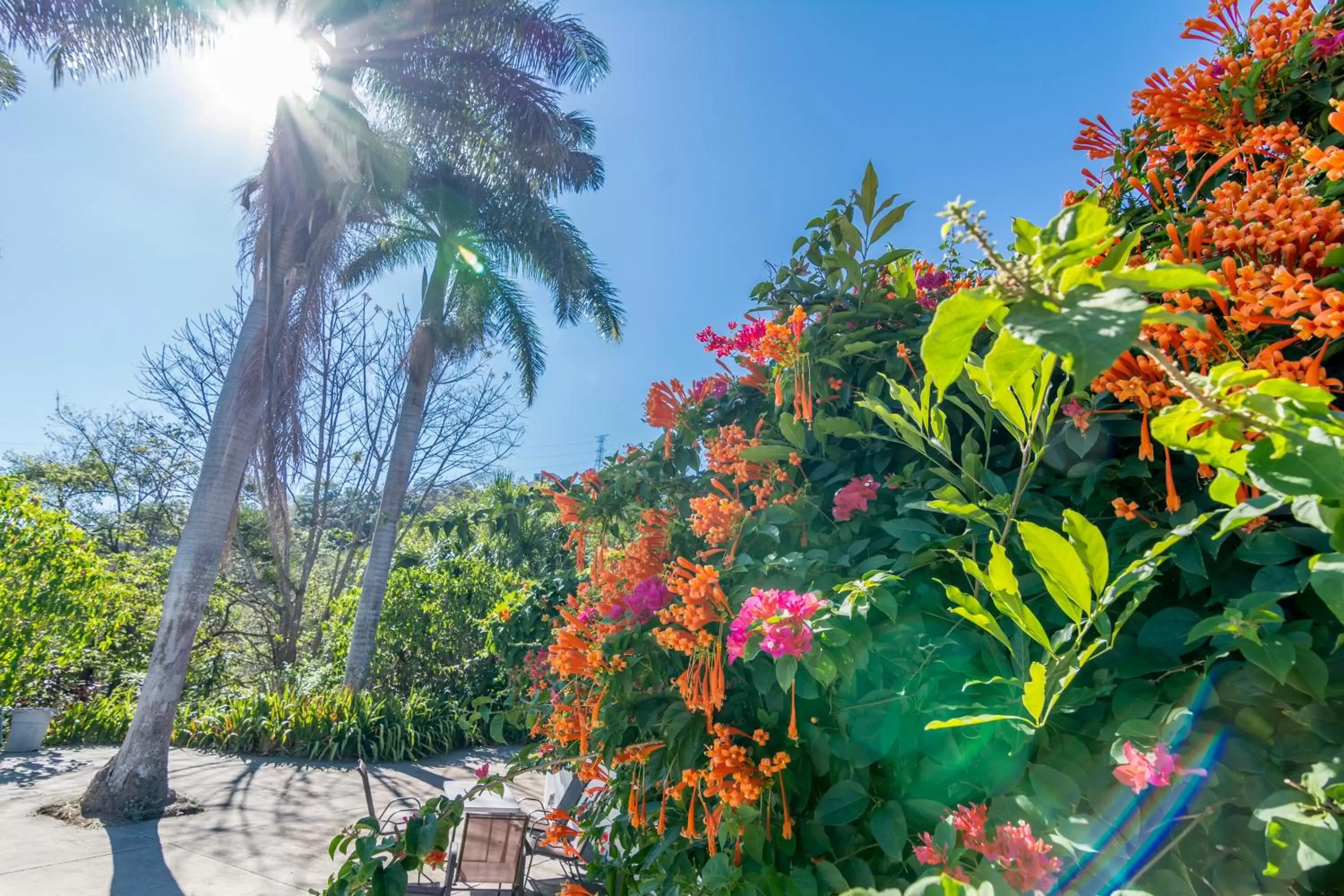 Garden in Hotel Colinas del Sol