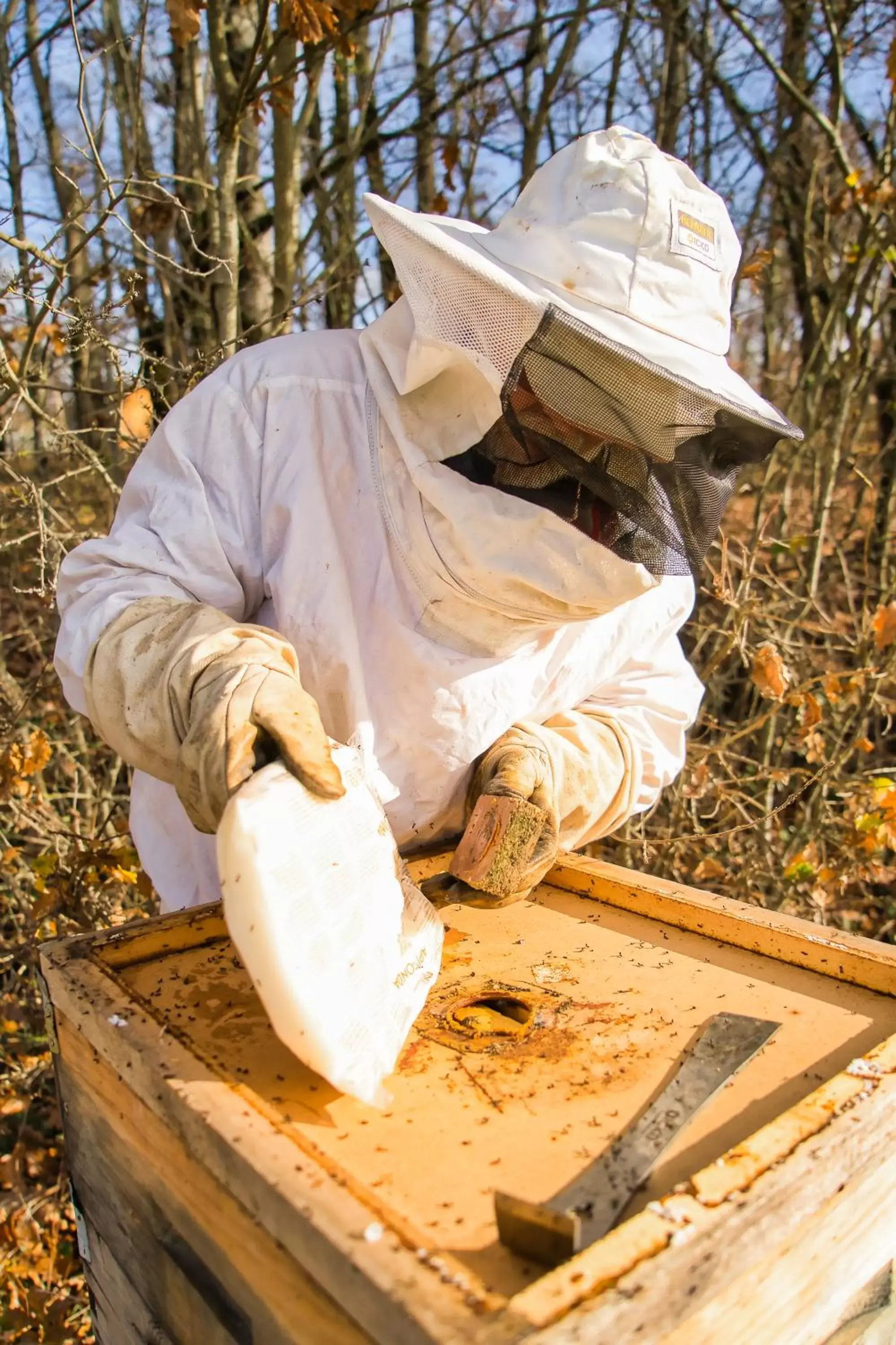 Activities in Le domaine de la Rivalière