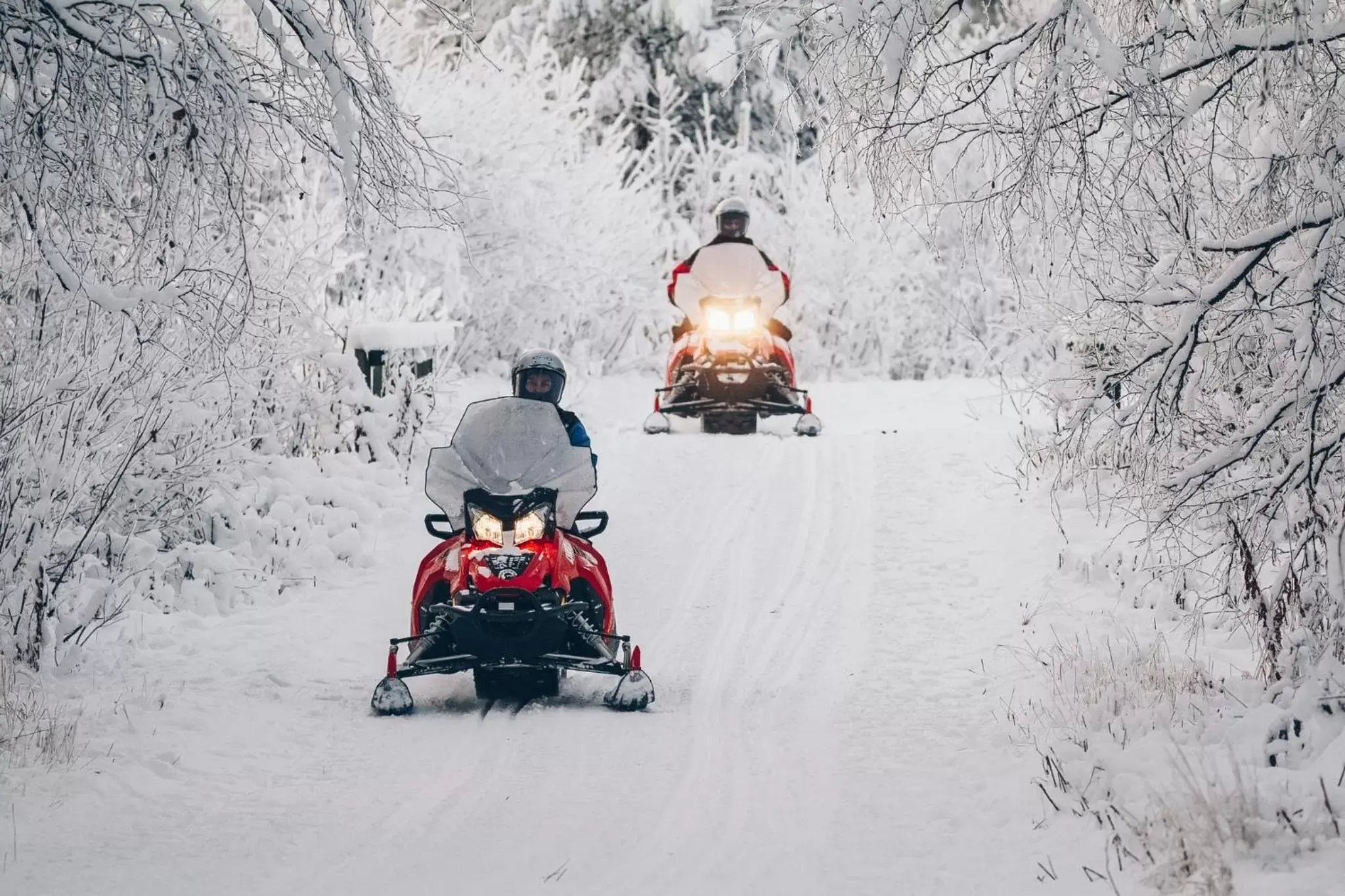 People, Winter in Apukka Resort