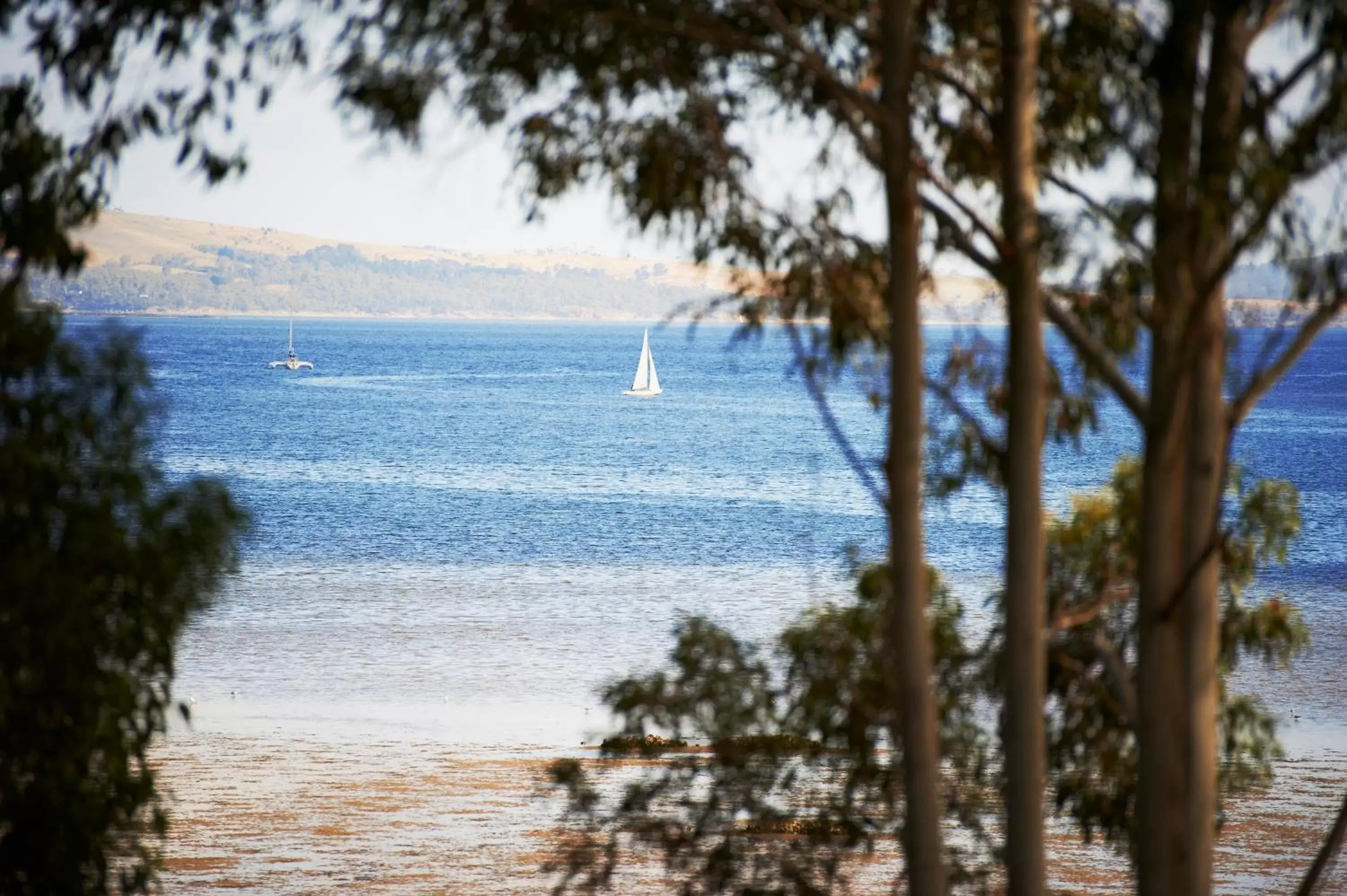 Sea view in Villa Howden