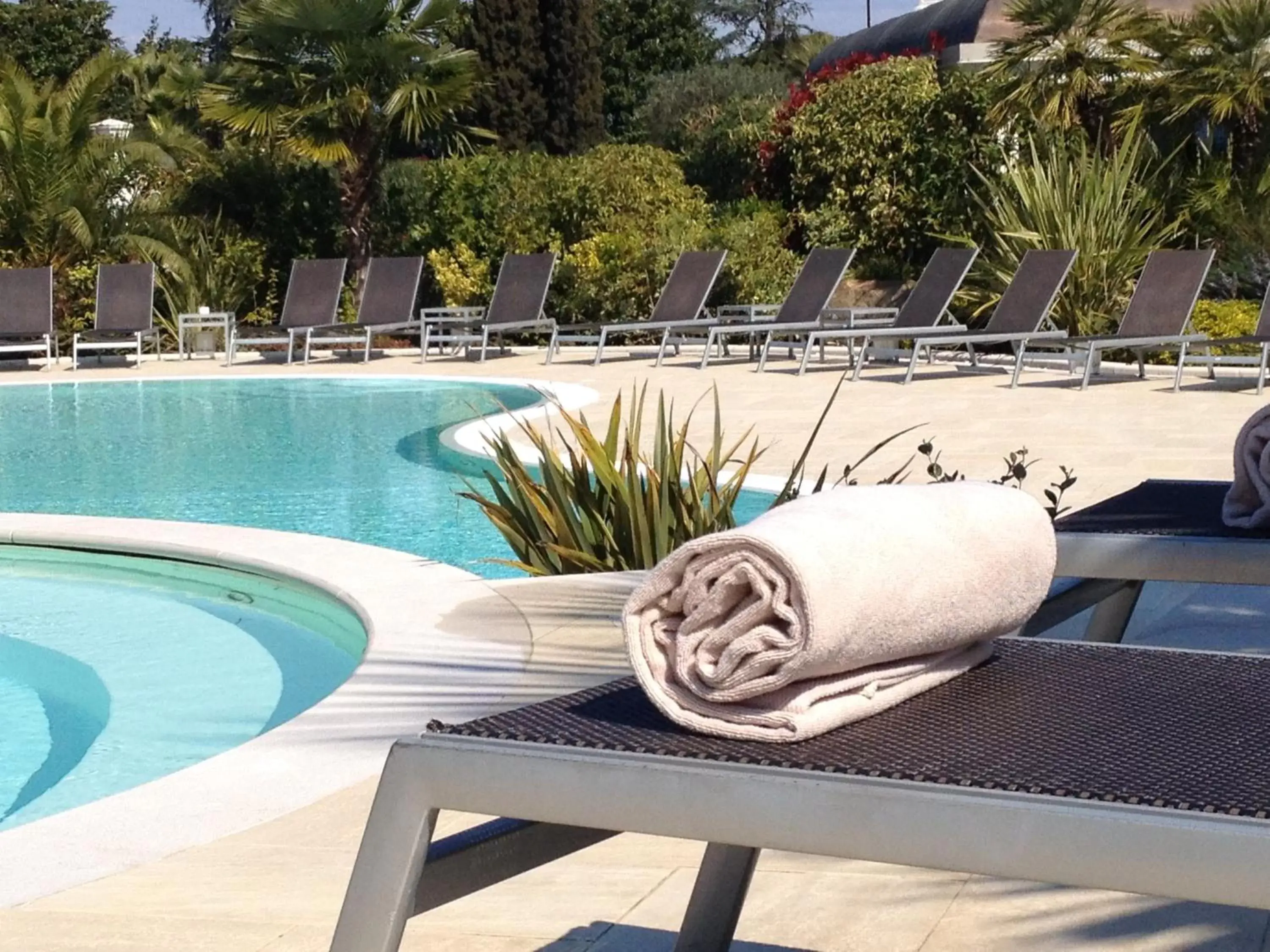 Garden, Swimming Pool in Palace Hotel