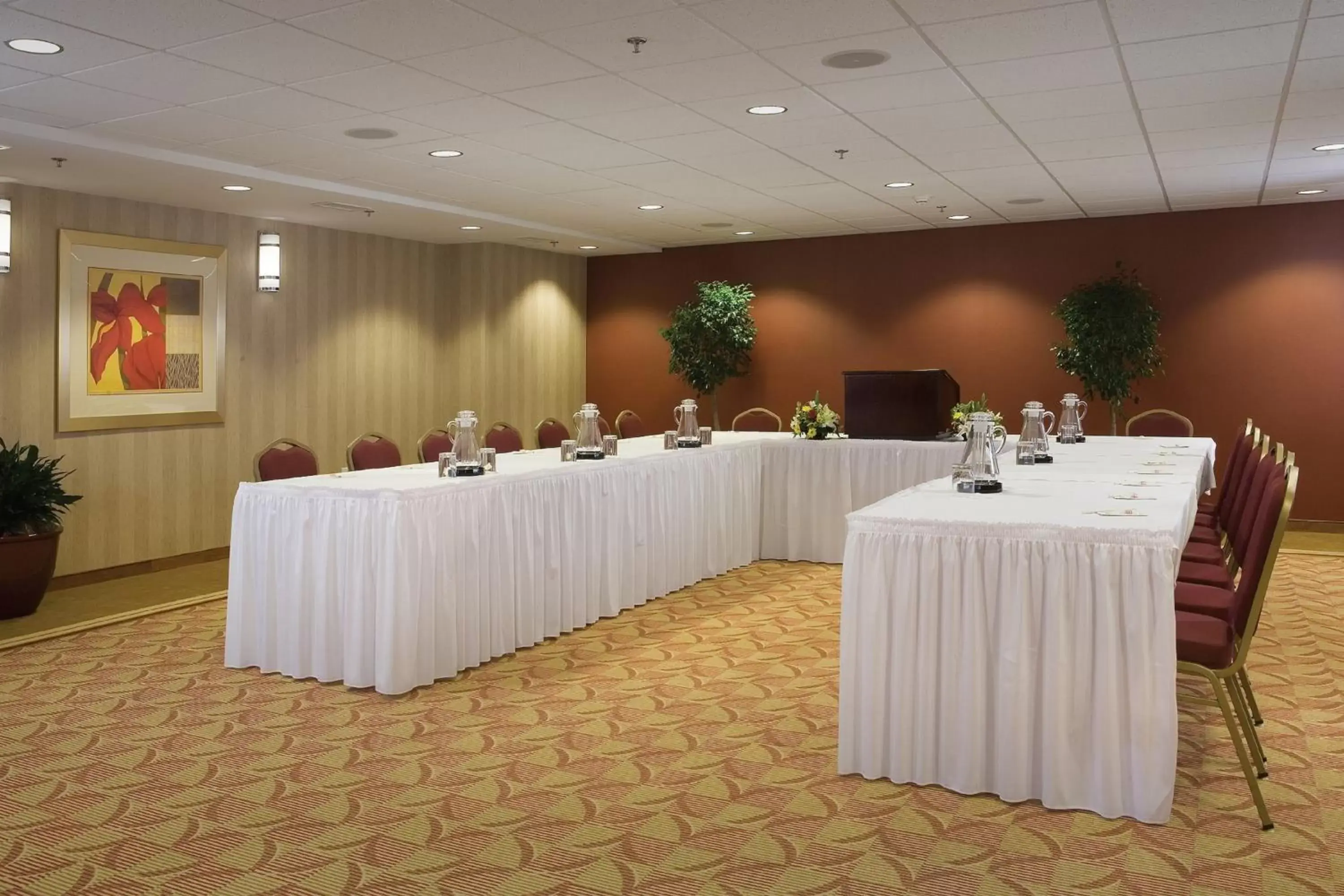 Banquet/Function facilities in Holiday Inn Express & Suites Charlottesville - Ruckersville, an IHG Hotel