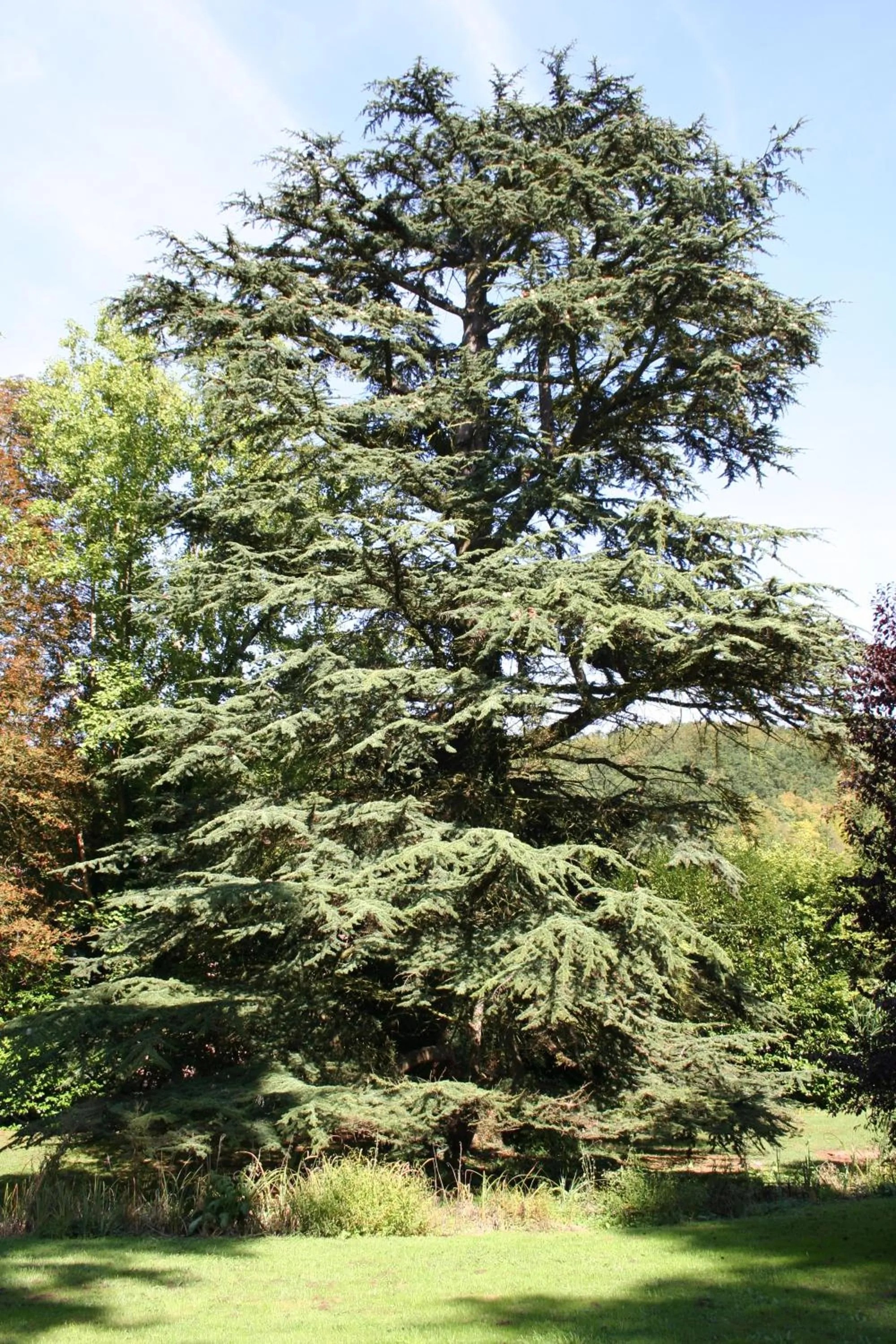 Natural landscape in Belle Isle Sur Risle - Chateau Hotel & Spa