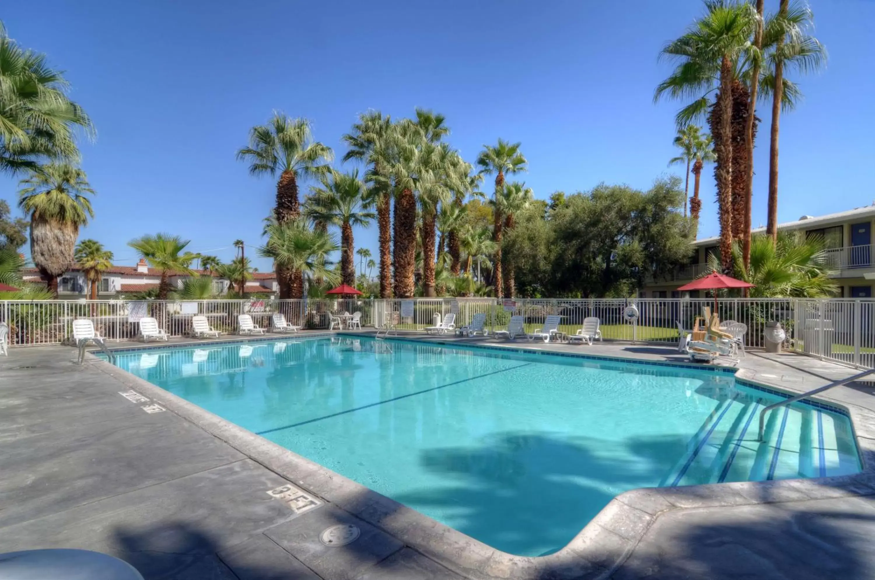 Pool view, Swimming Pool in Motel 6-Palm Springs, CA - East - Palm Canyon