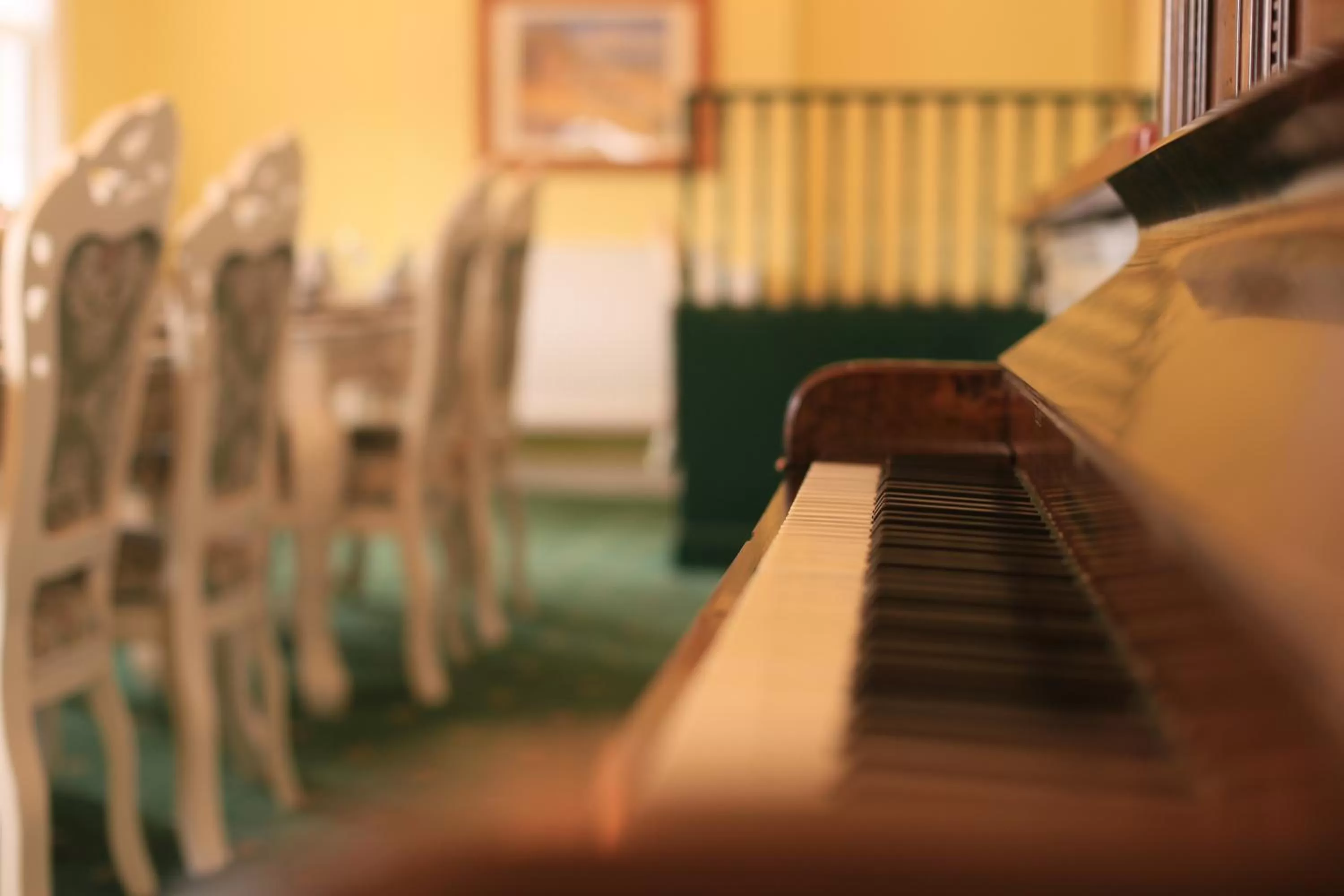 Restaurant/places to eat in Twin Lions Hotel