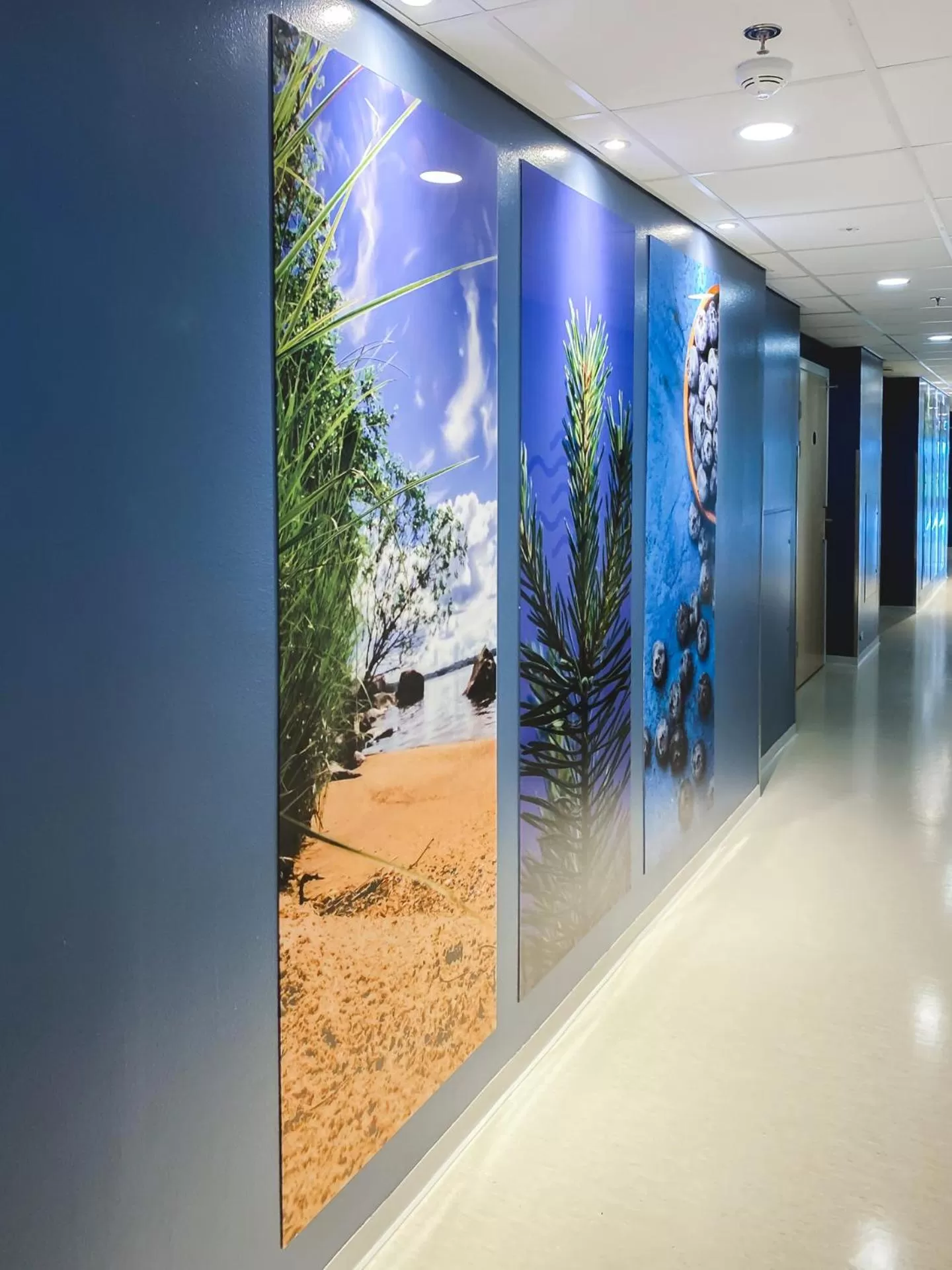 Decorative detail in Hotelli Kuohu Kangasala - Hotel and Apartments by UHANDA