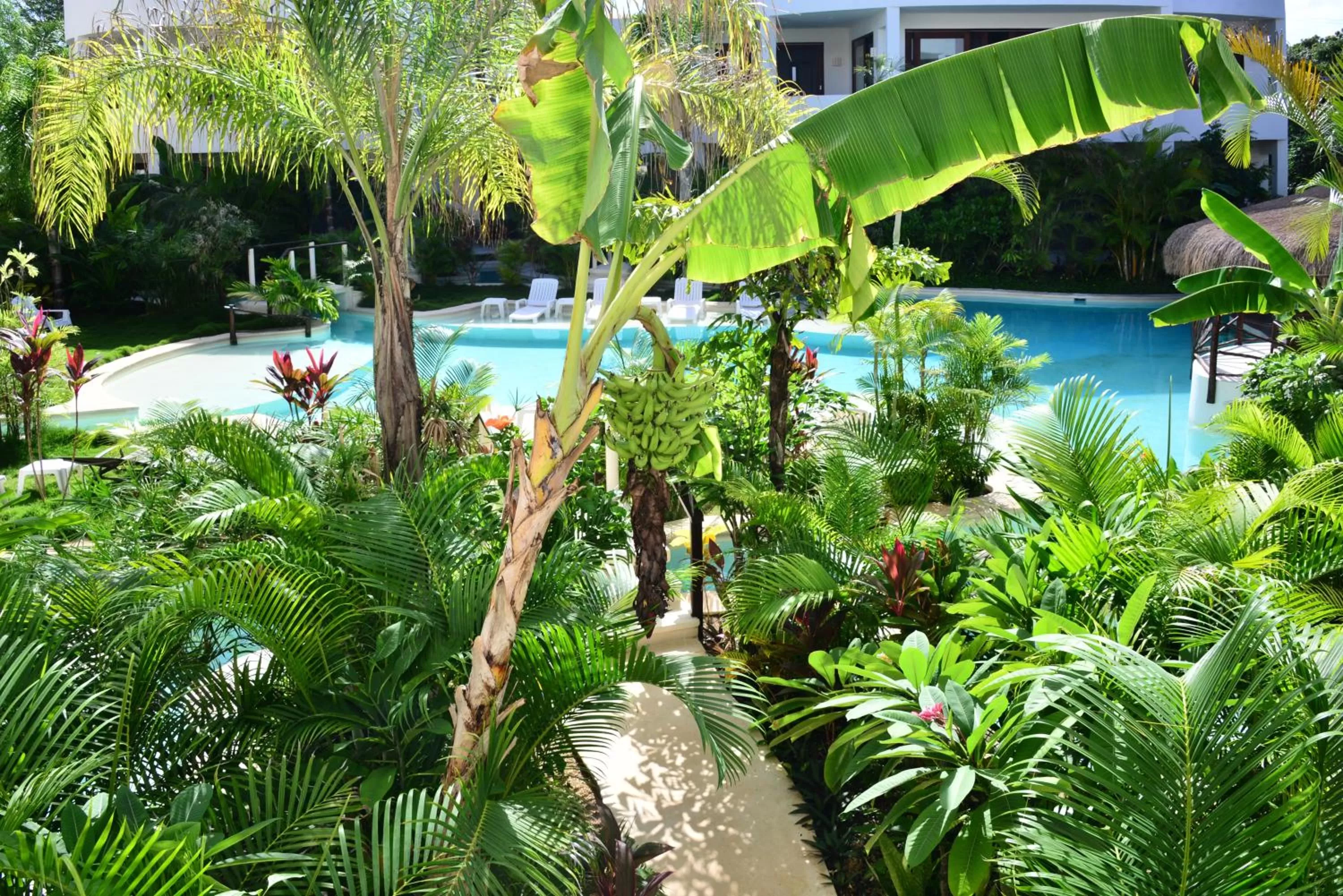 Garden in Intima Resort Tulum Adults Only (Clothing Optional)