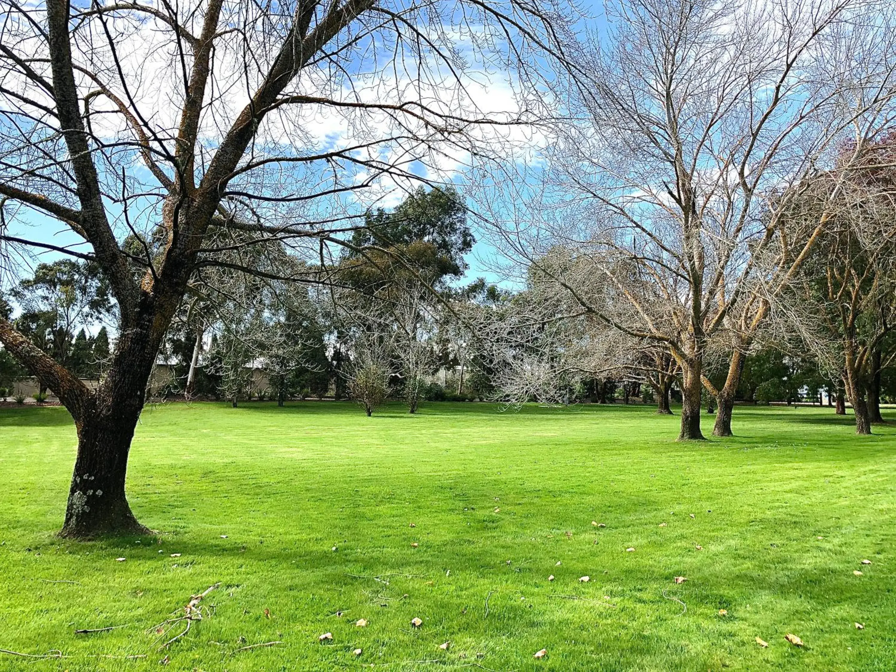 Area and facilities, Garden in Briars Country Lodge