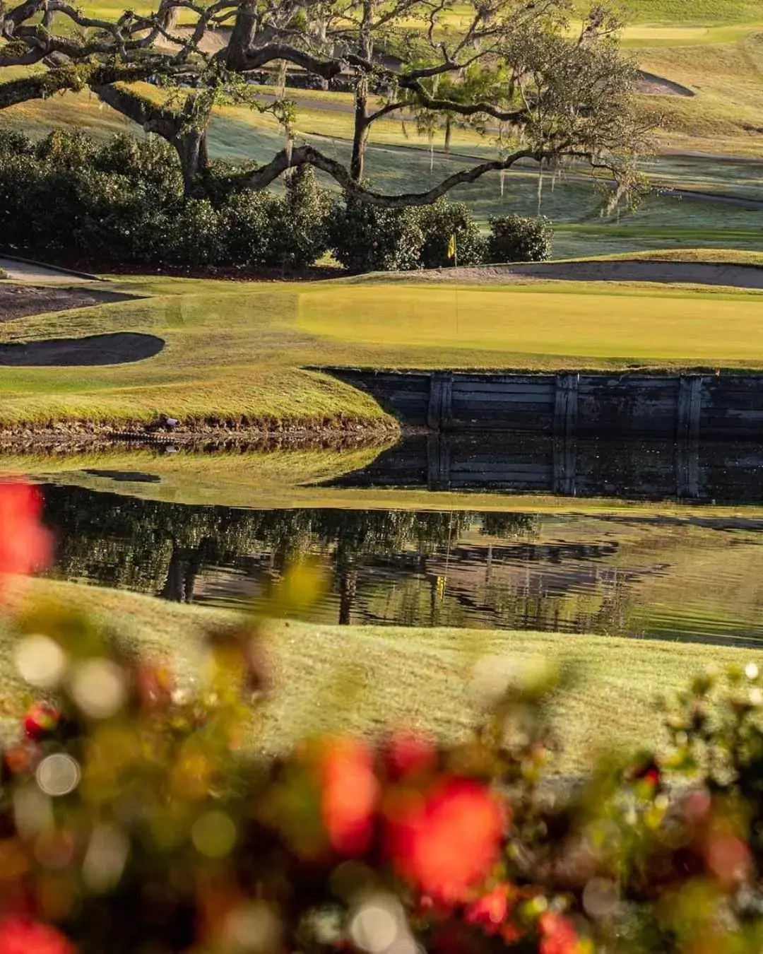 Natural landscape in Mission Inn Resort & Club