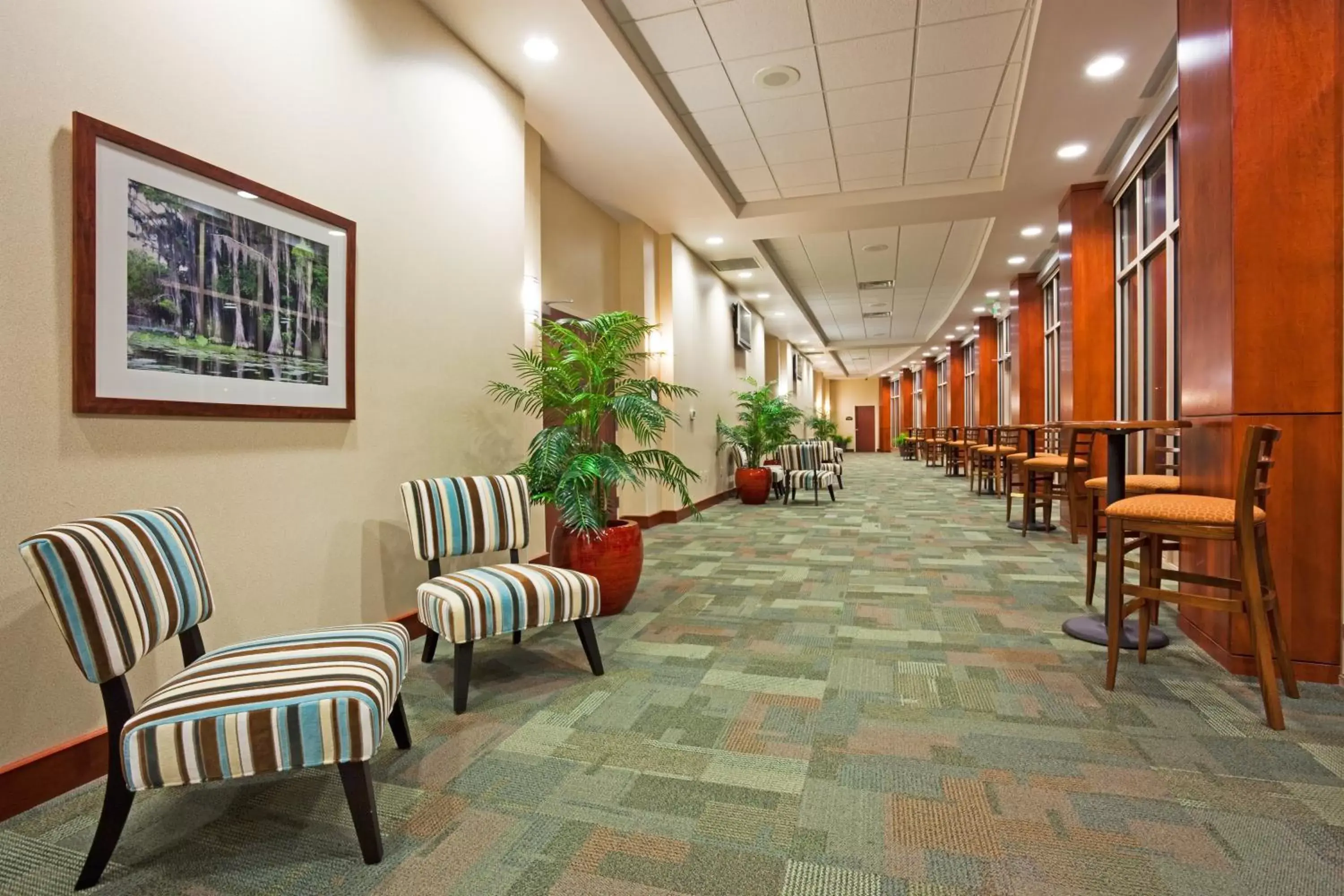 Meeting/conference room, Lobby/Reception in Holiday Inn Madison at The American Center, an IHG Hotel