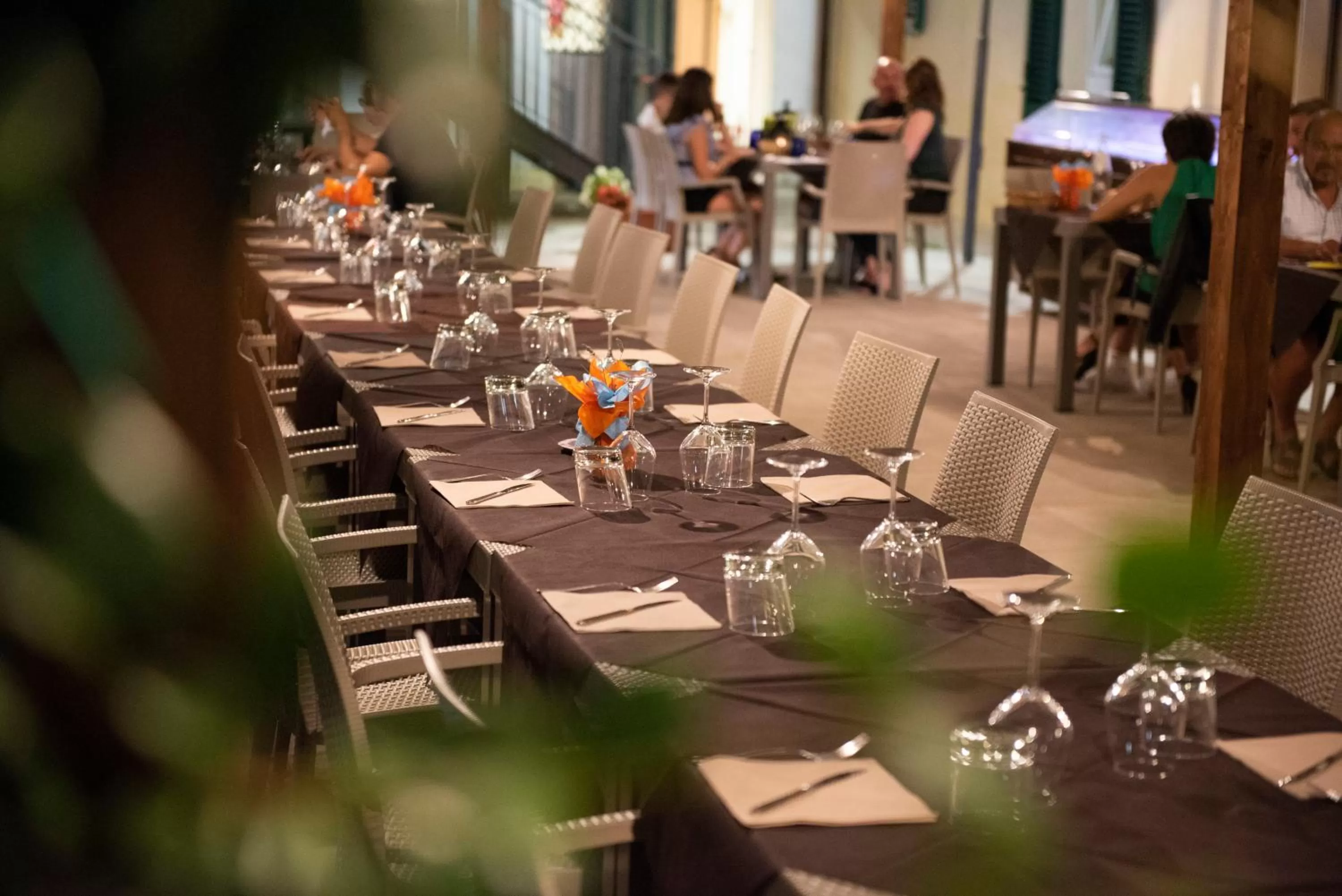 Dinner in Tenuta Villa Colle Sereno