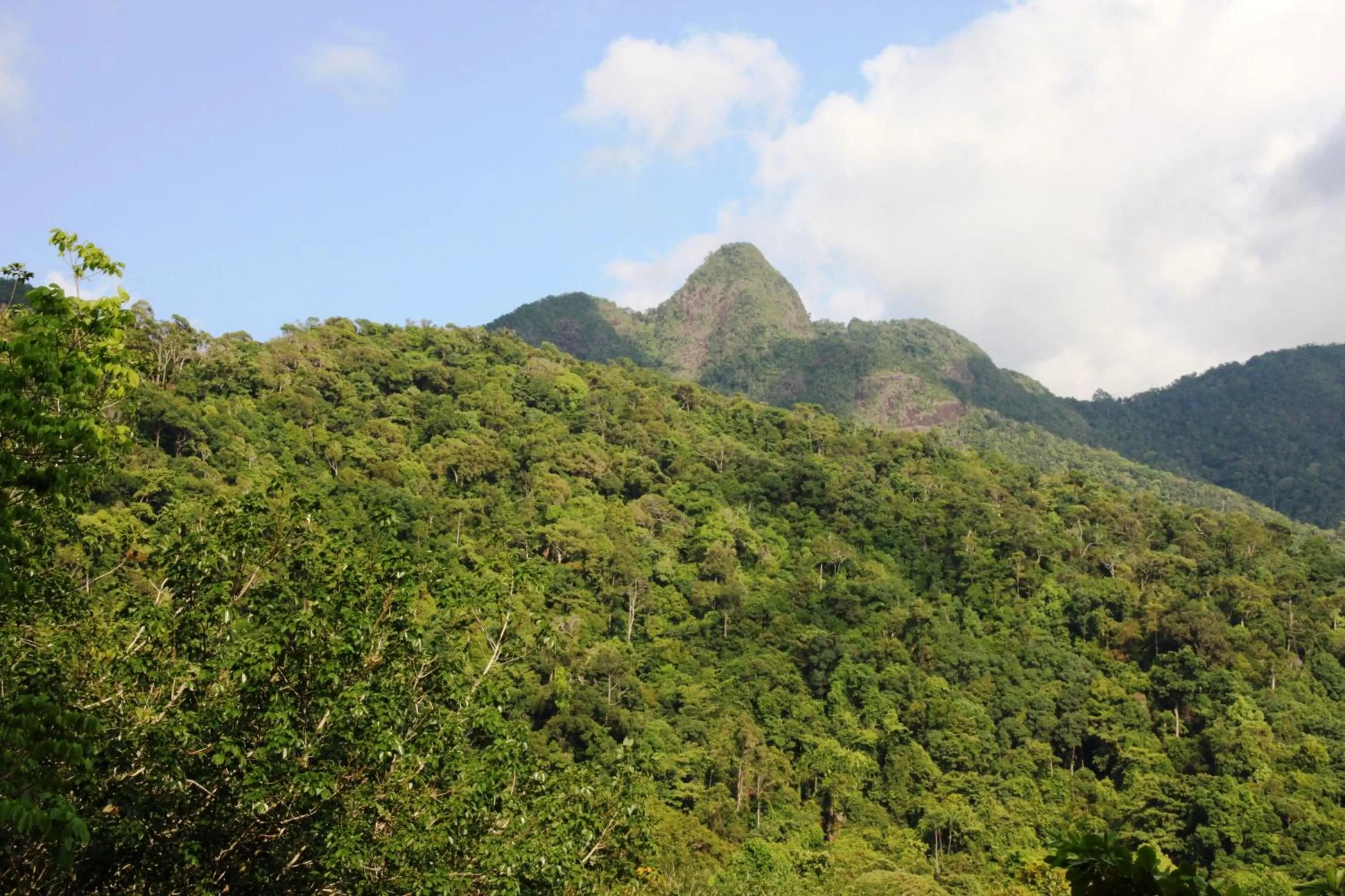 Mountain view in Island Lodge