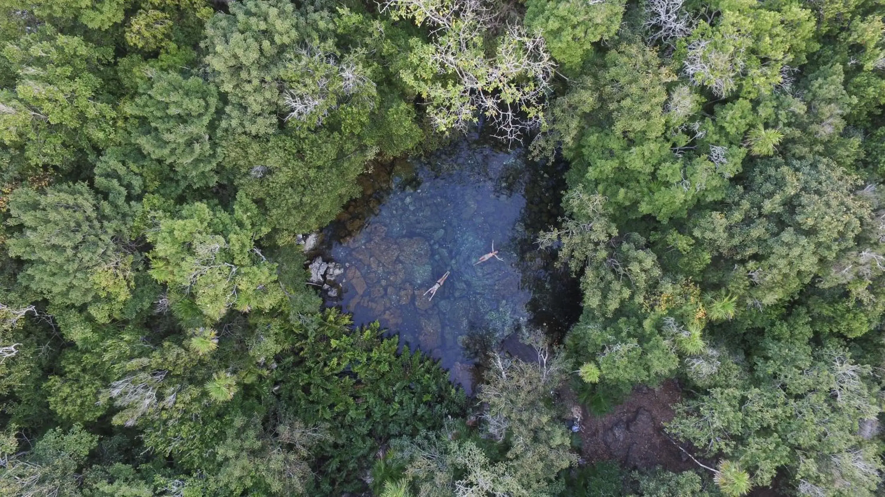 Natural landscape, Bird's-eye View in Caleta Tankah