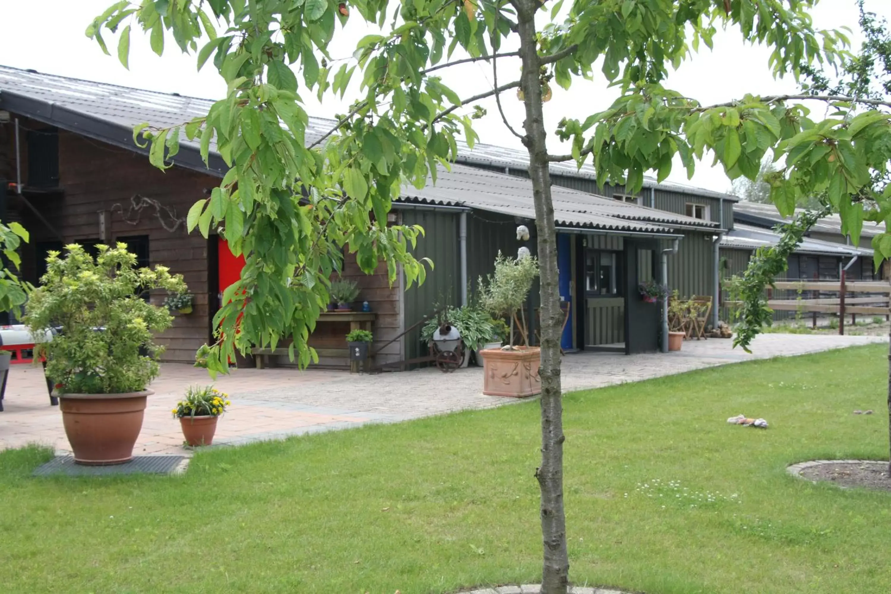 Garden, Property Building in B&B de Rekkendonken