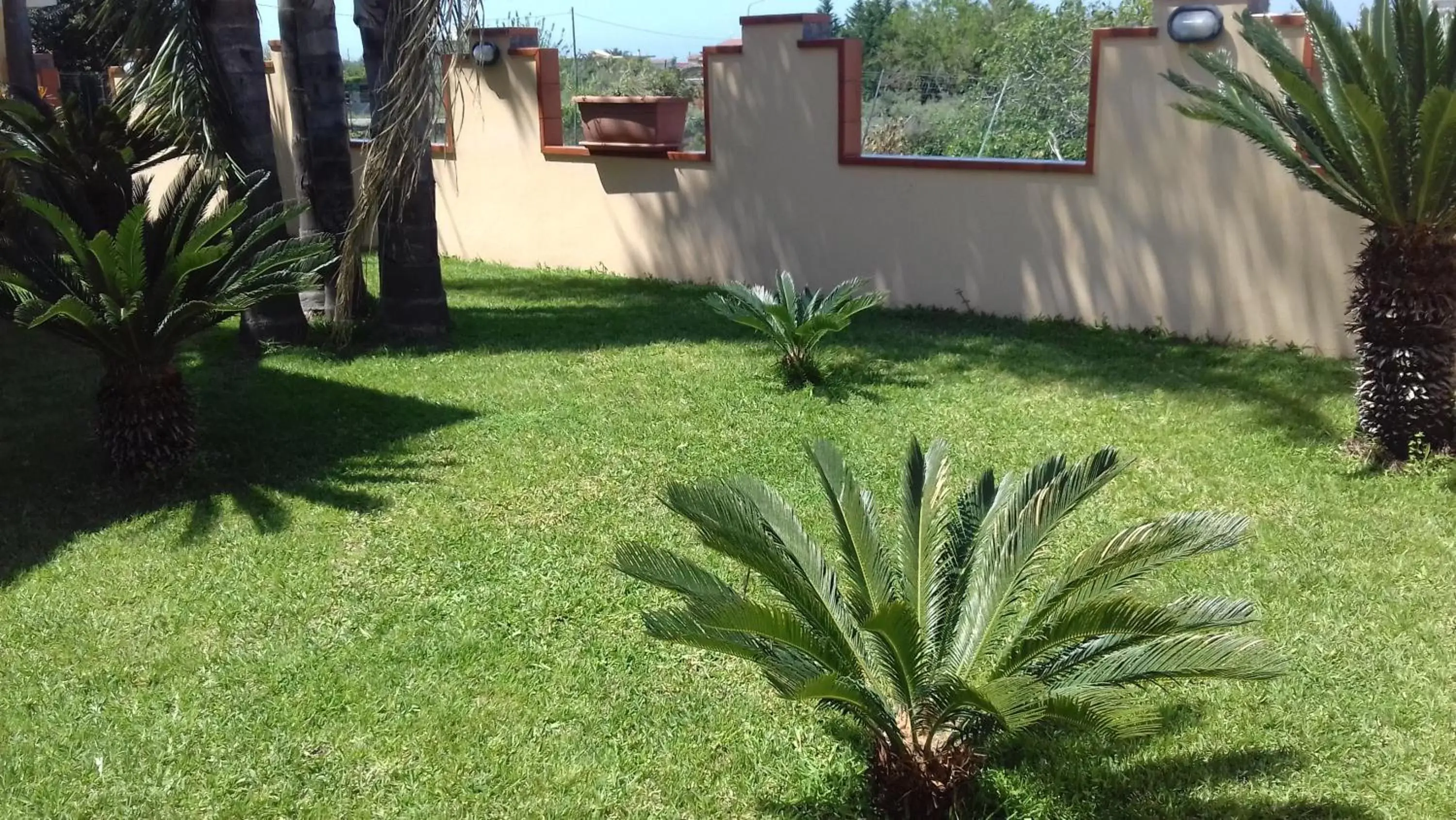 Garden in Villa Manno