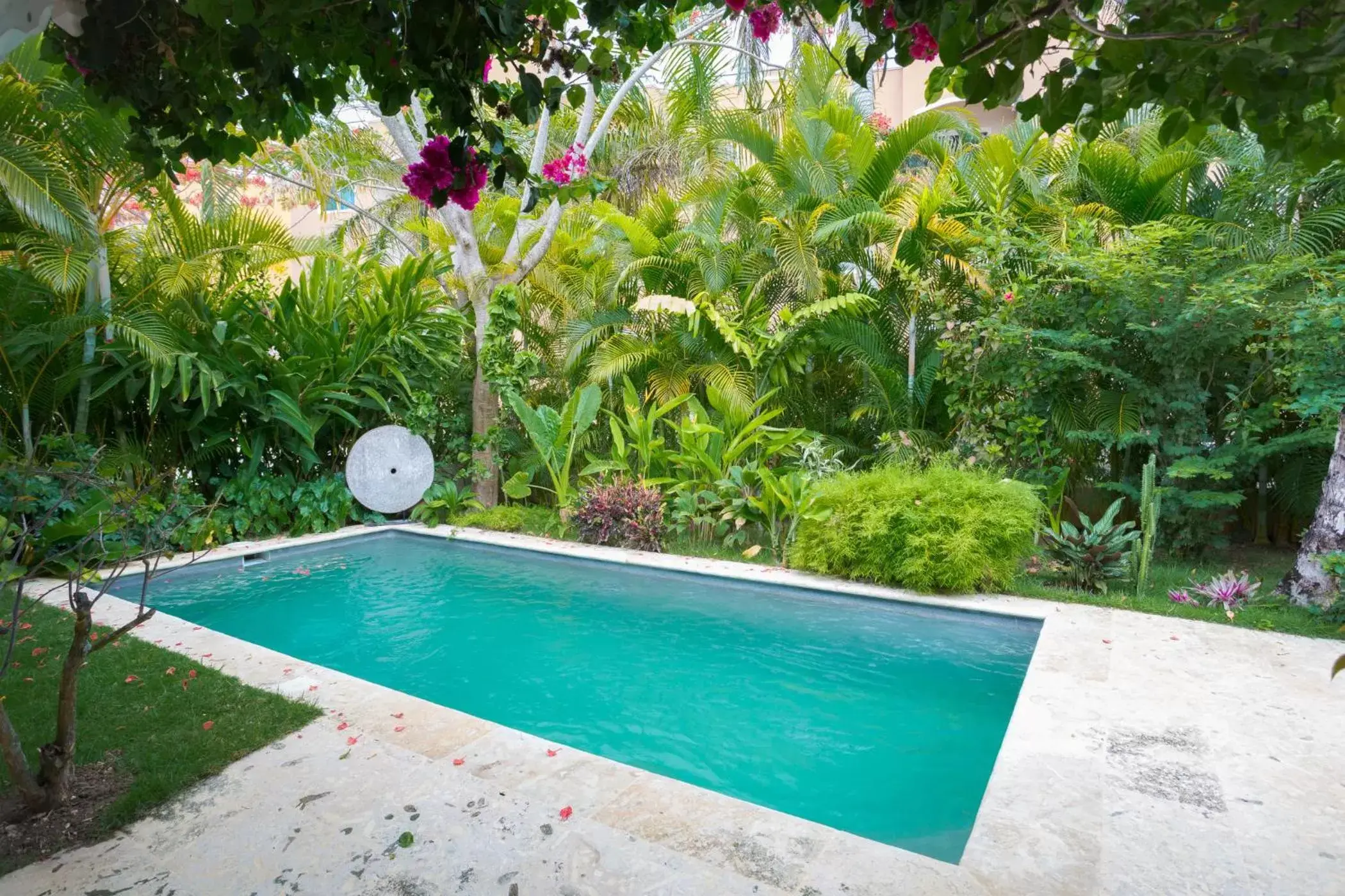 Garden, Swimming Pool in Mahona Boutique Hotel