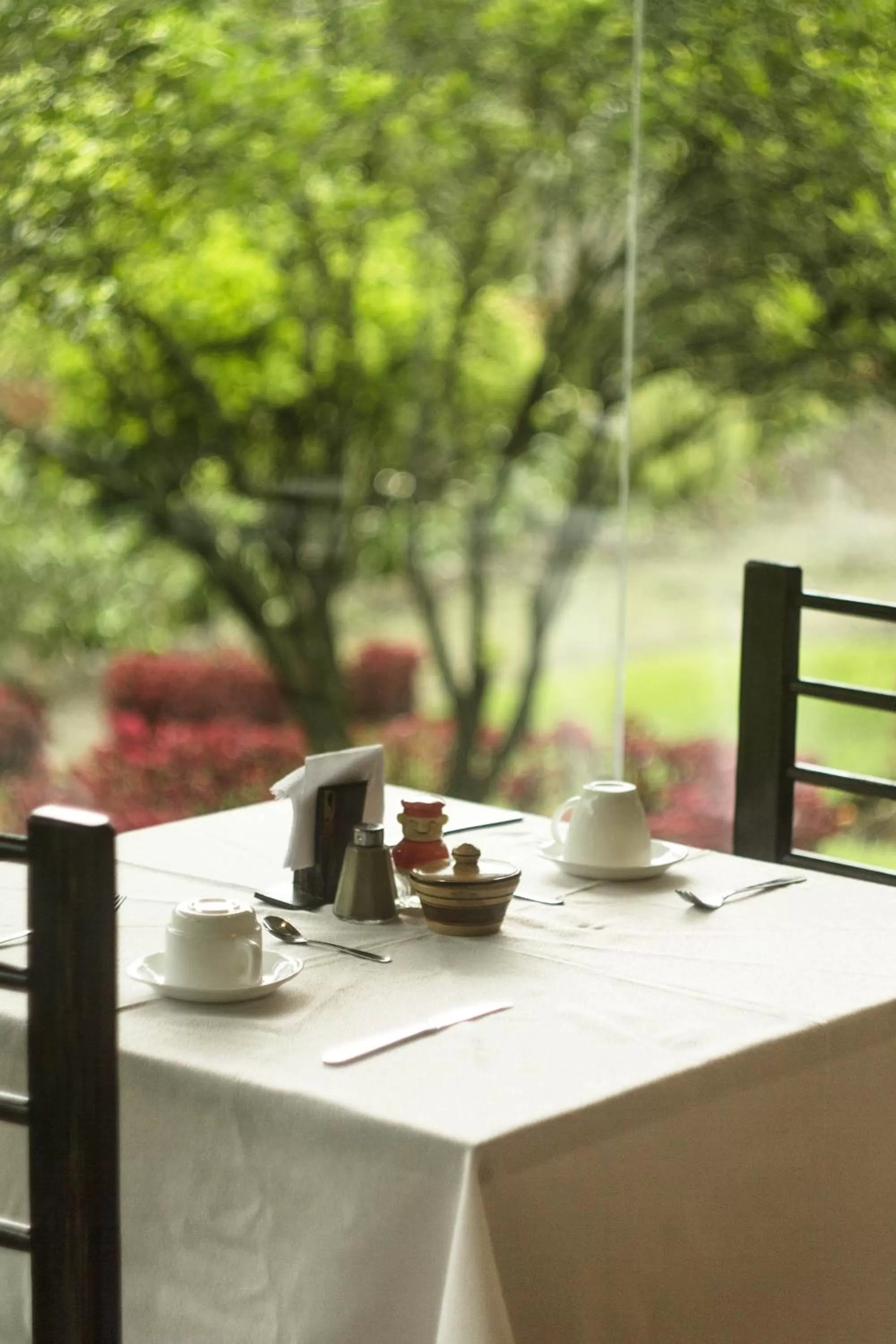 Restaurant/places to eat in Aldea Real Eco Friendly