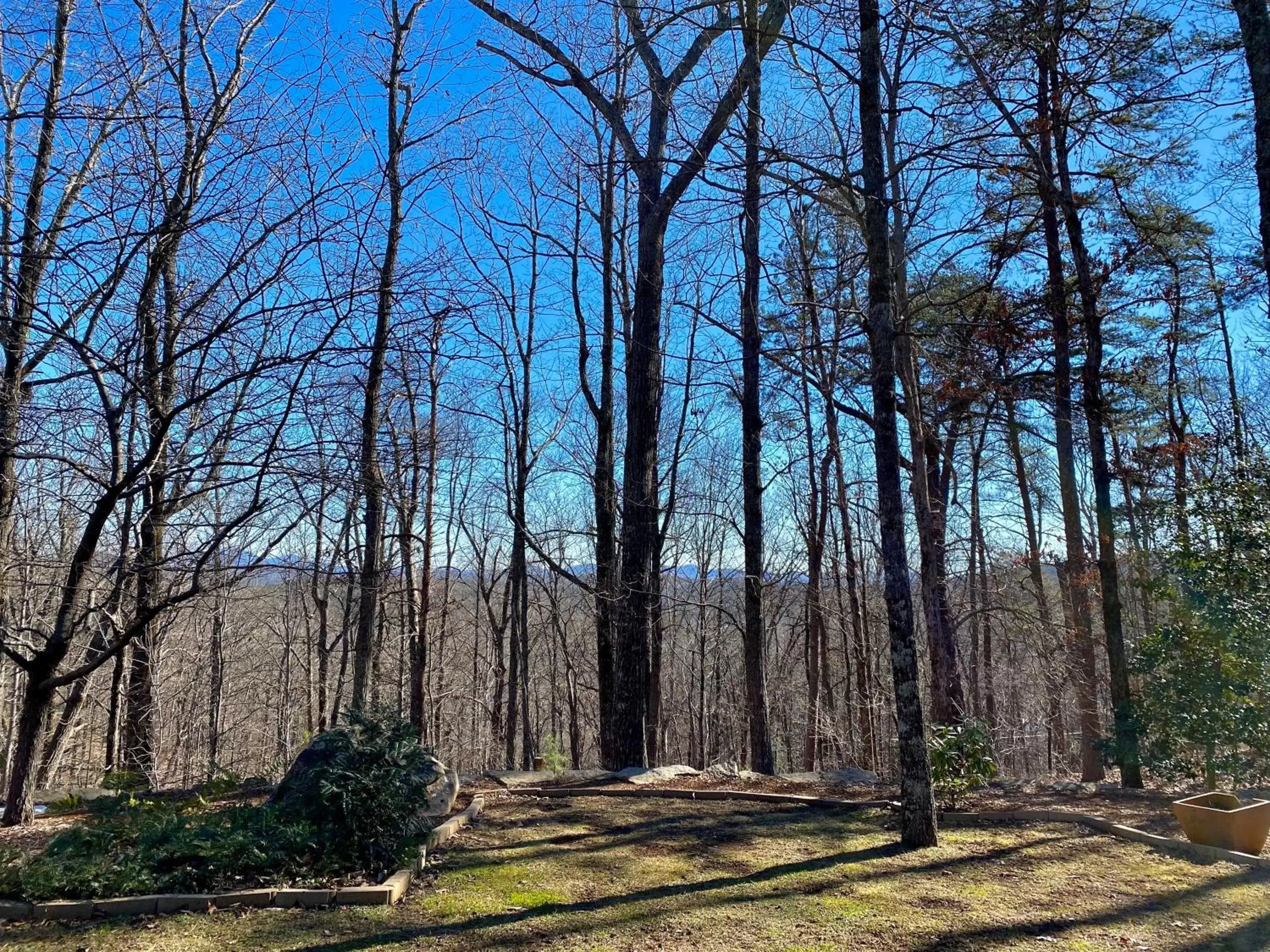 Natural Landscape in Barefoot Hills