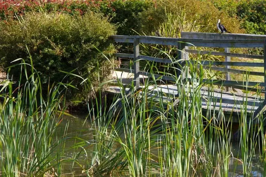 Garden in Potters Apartments