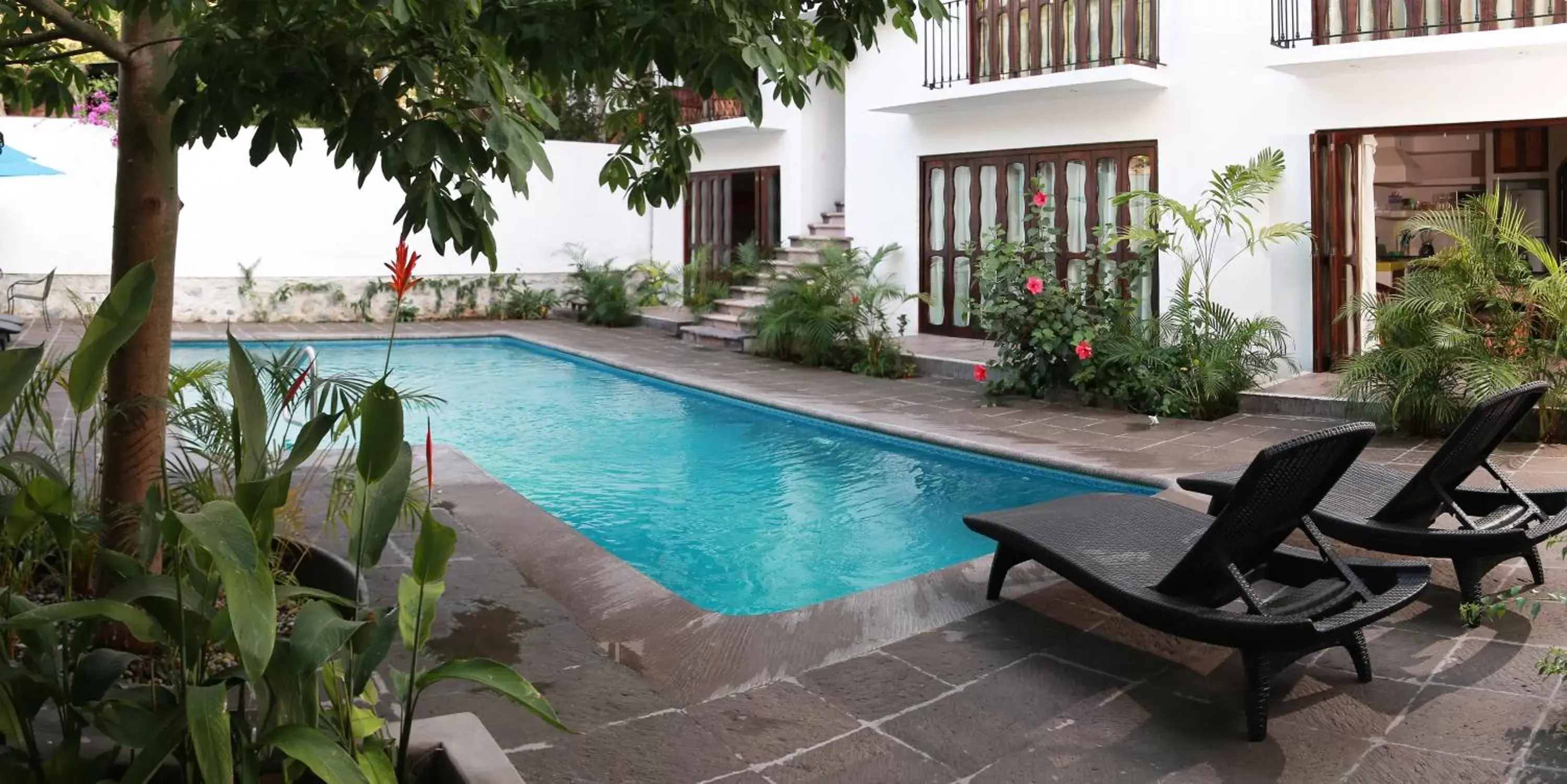 Swimming Pool in Ceiba Studios