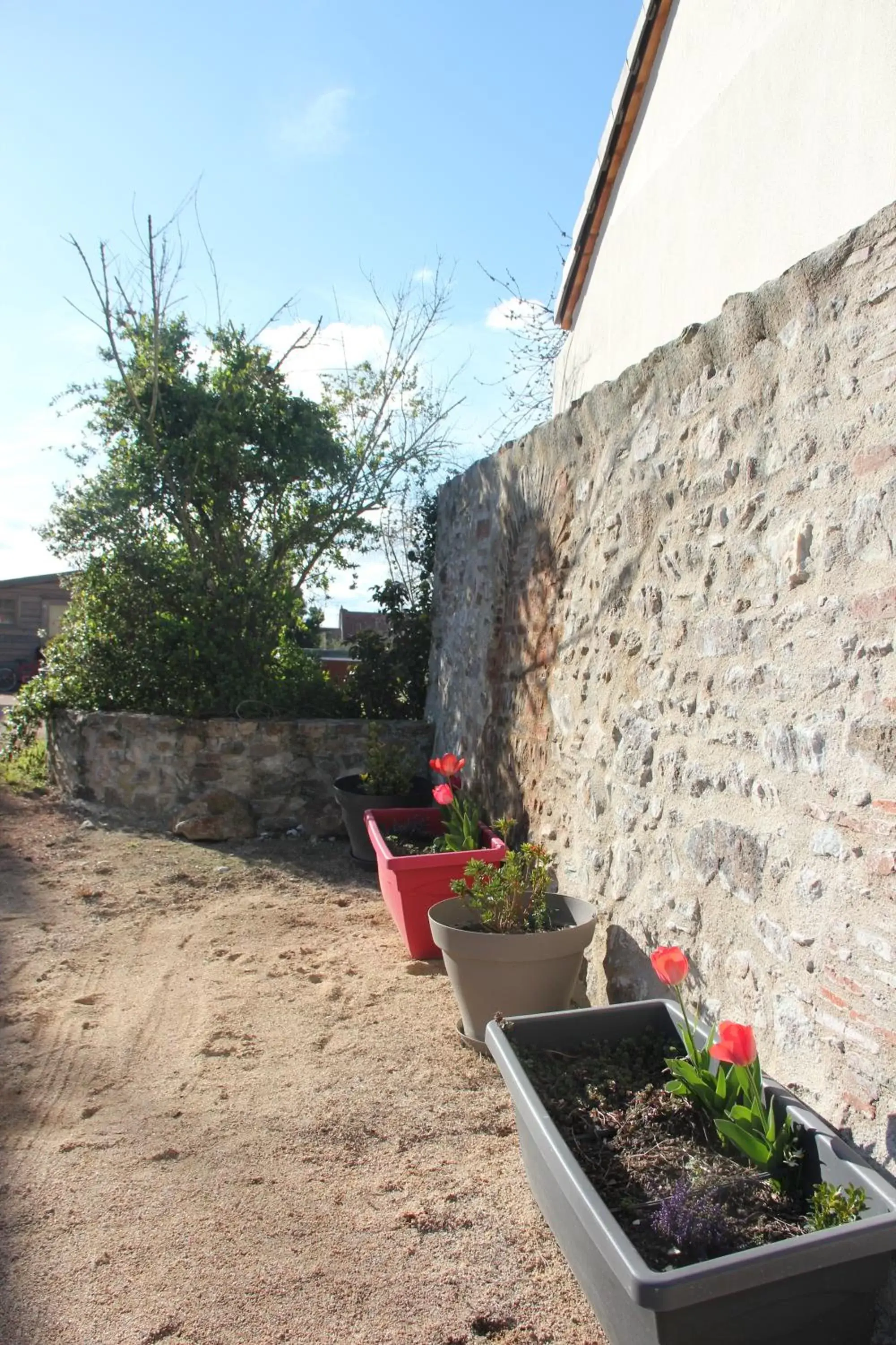 Garden in Château Besson