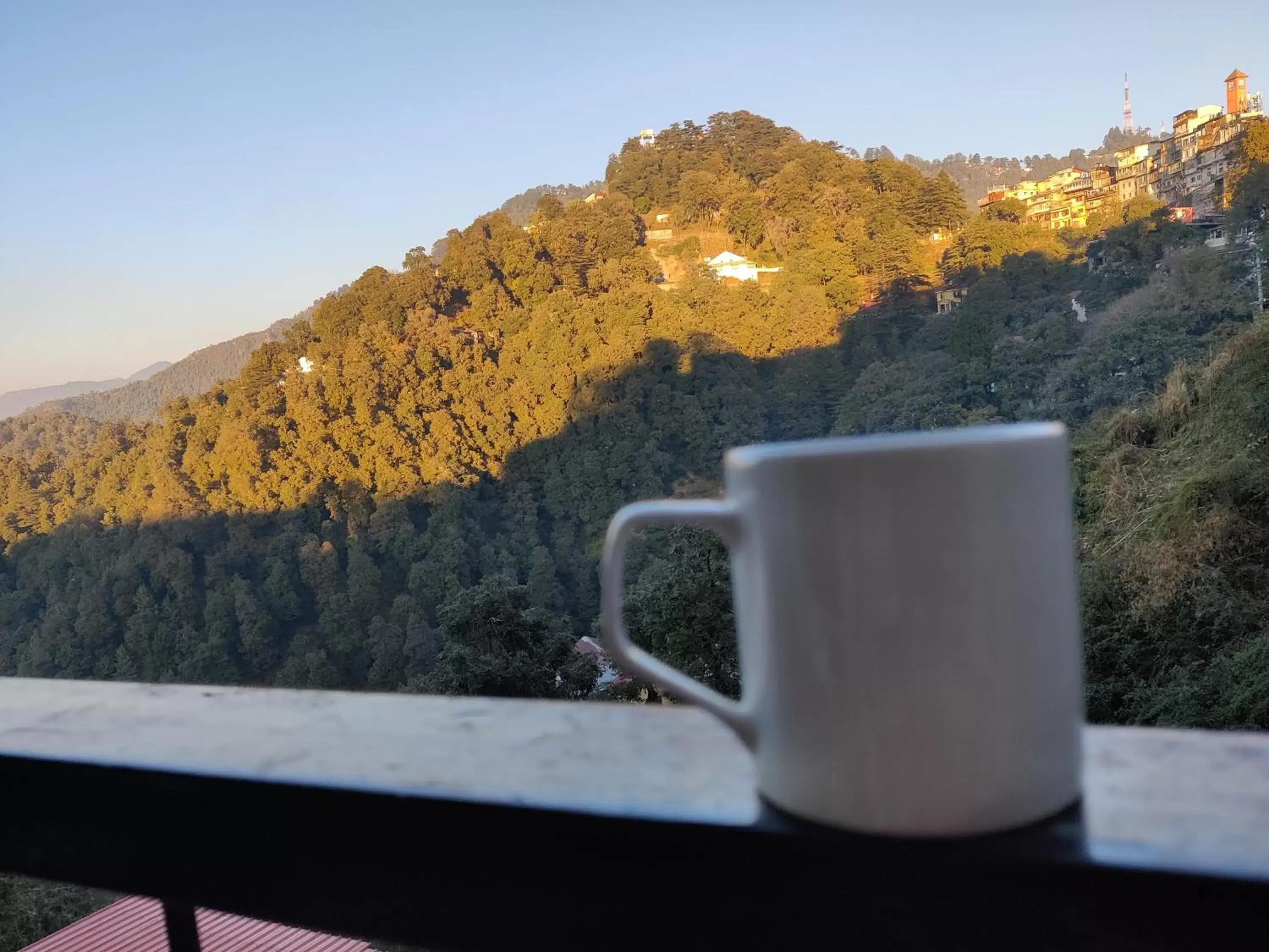 View (from property/room) in Hotel Shiva Continental View (from property/room) in Hotel Shiva Continental