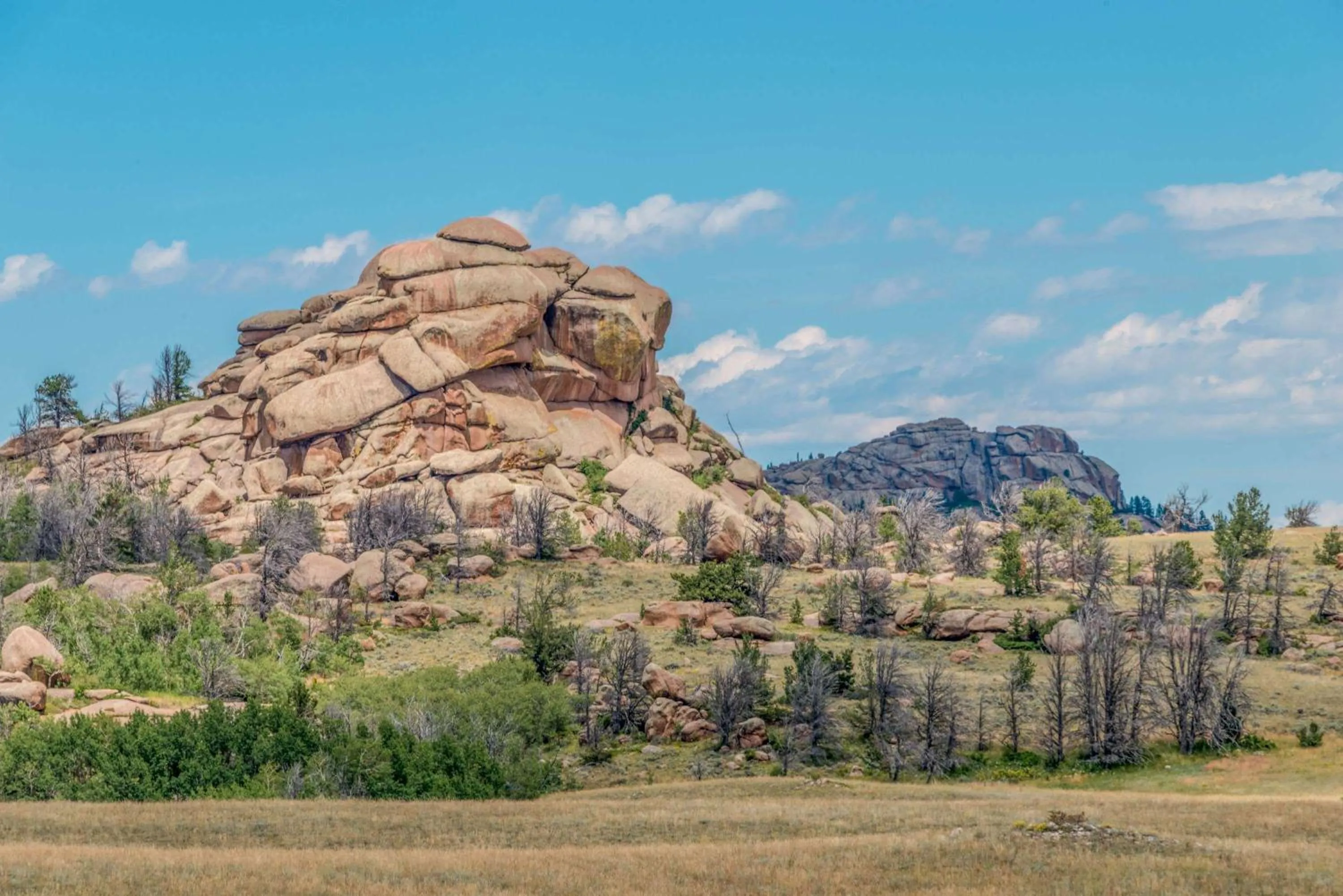 Other in Super 8 by Wyndham Laramie