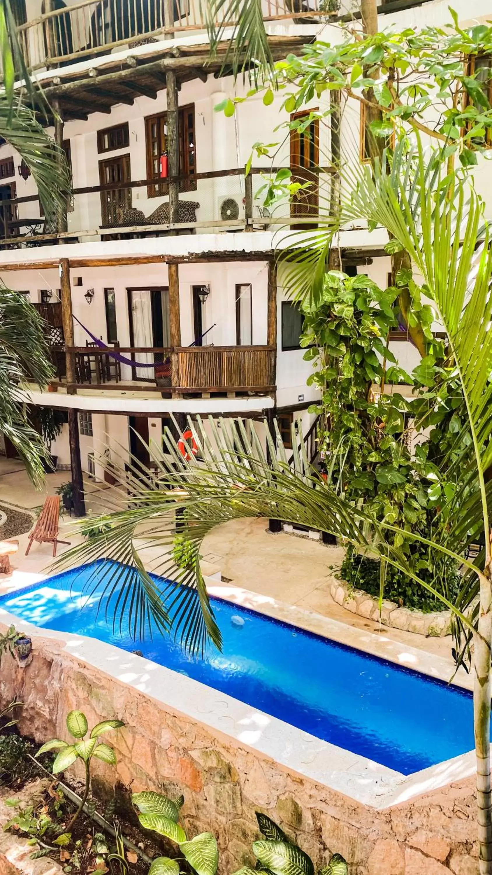 Property building, Swimming Pool in Siesta Fiesta Hotel - 5th Avenue