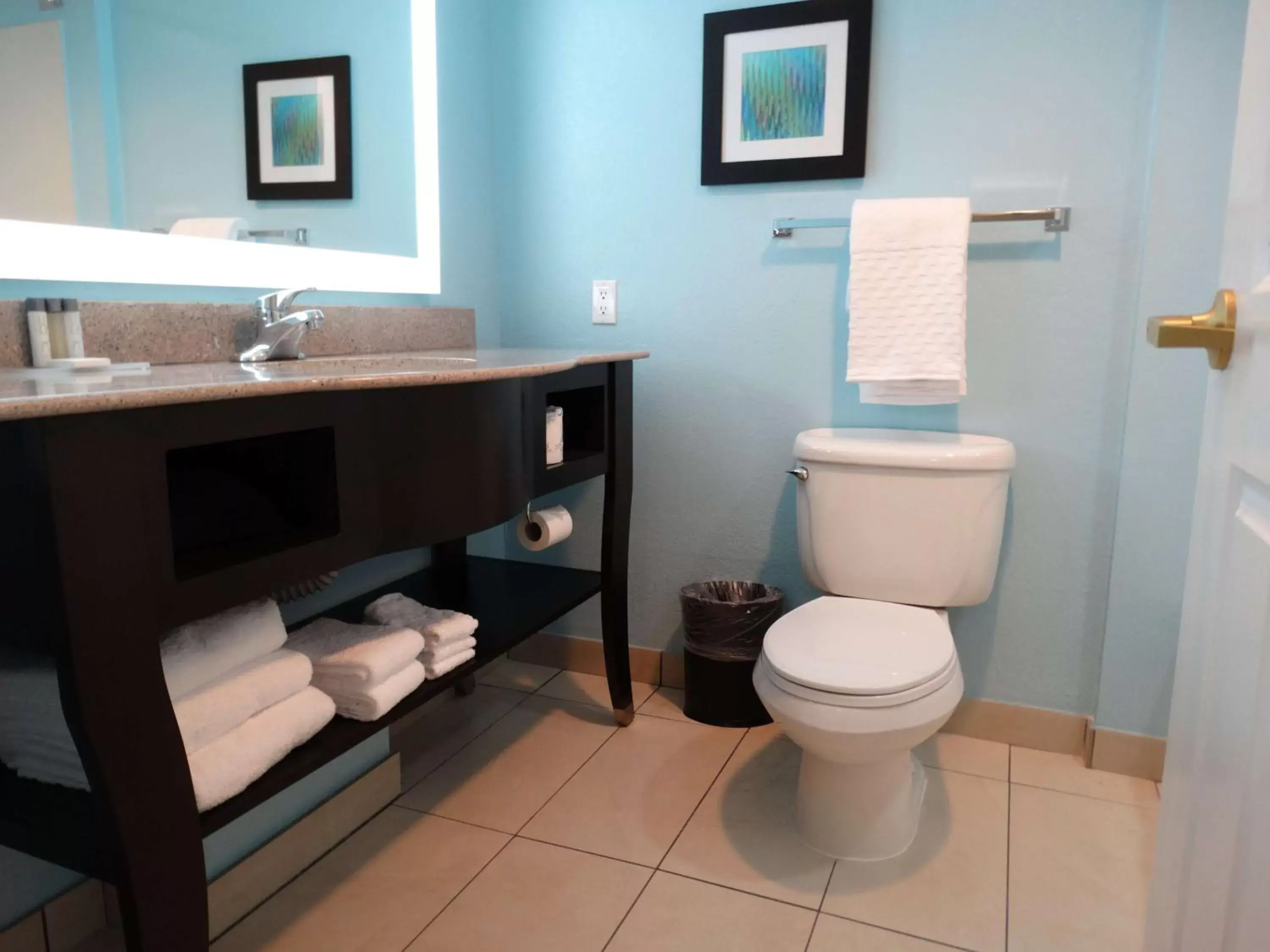 Bathroom in Best Western Plus Kissimmee-Lake Buena Vista South Inn & Suites