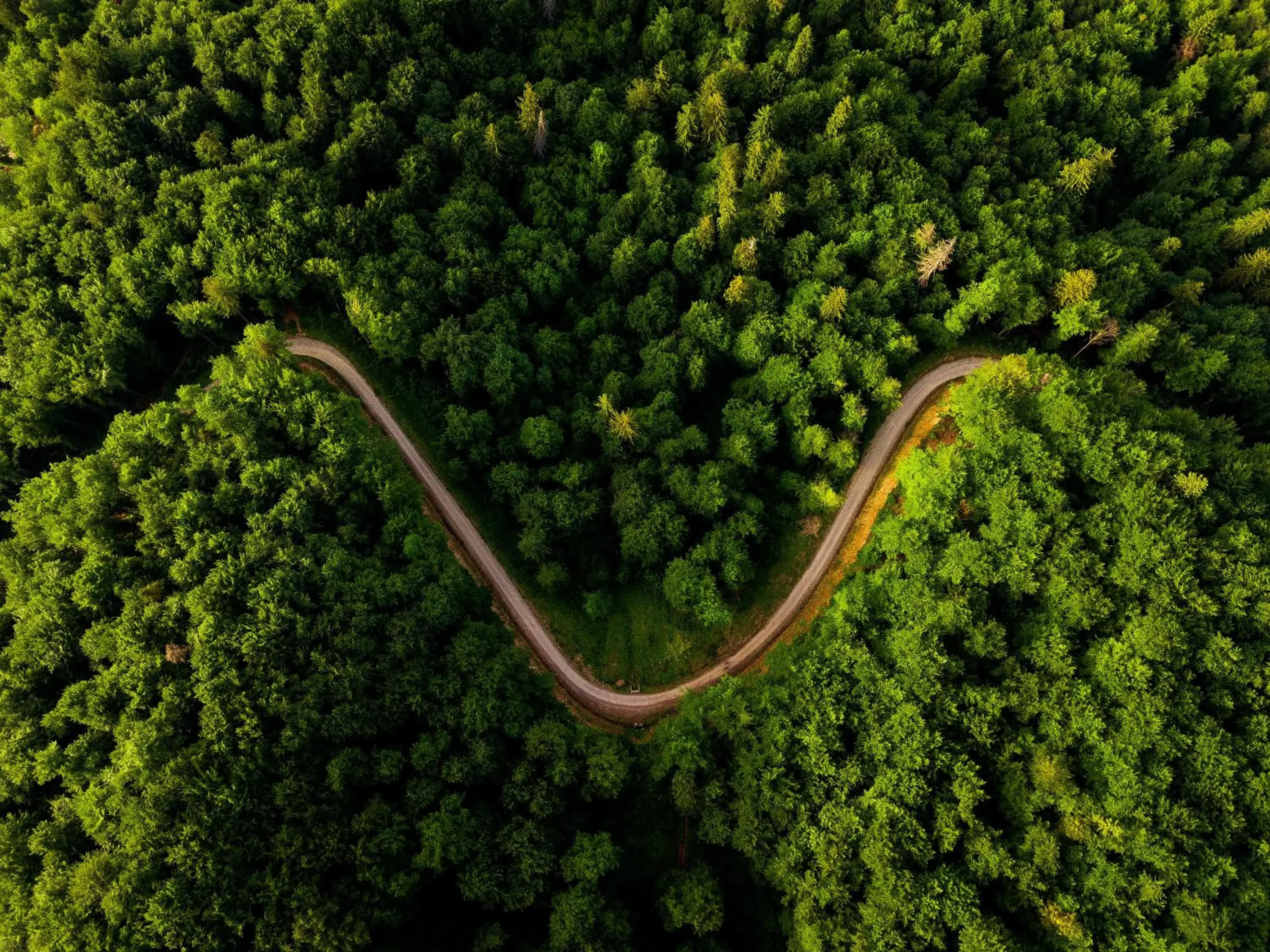 Landmark view in Grand Hotel Landmark view in Grand Hotel