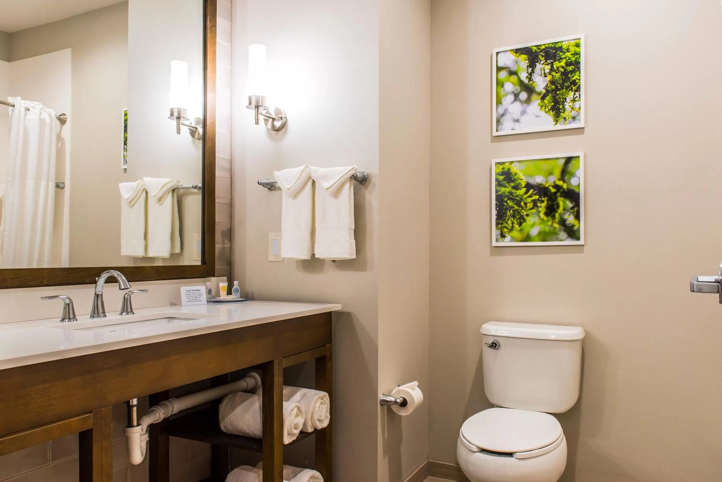 Bathroom in Comfort Inn & Suites Valdosta I-75