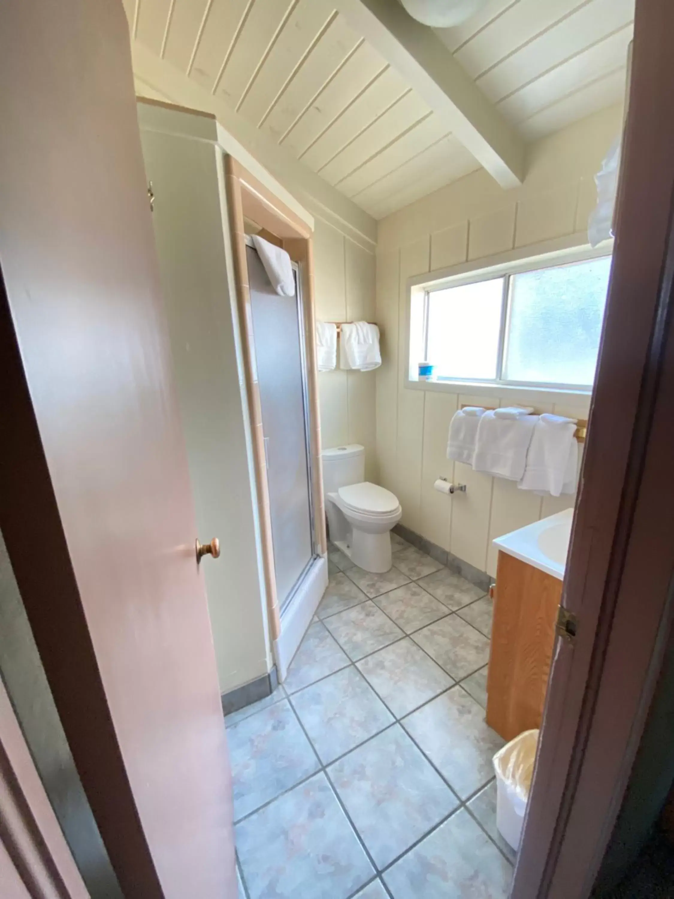 Bathroom in Bristlecone Motel