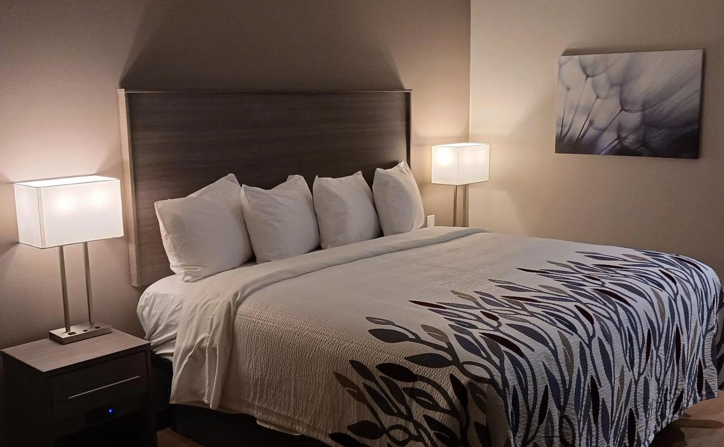 Red Roof Inn Lancaster, TX