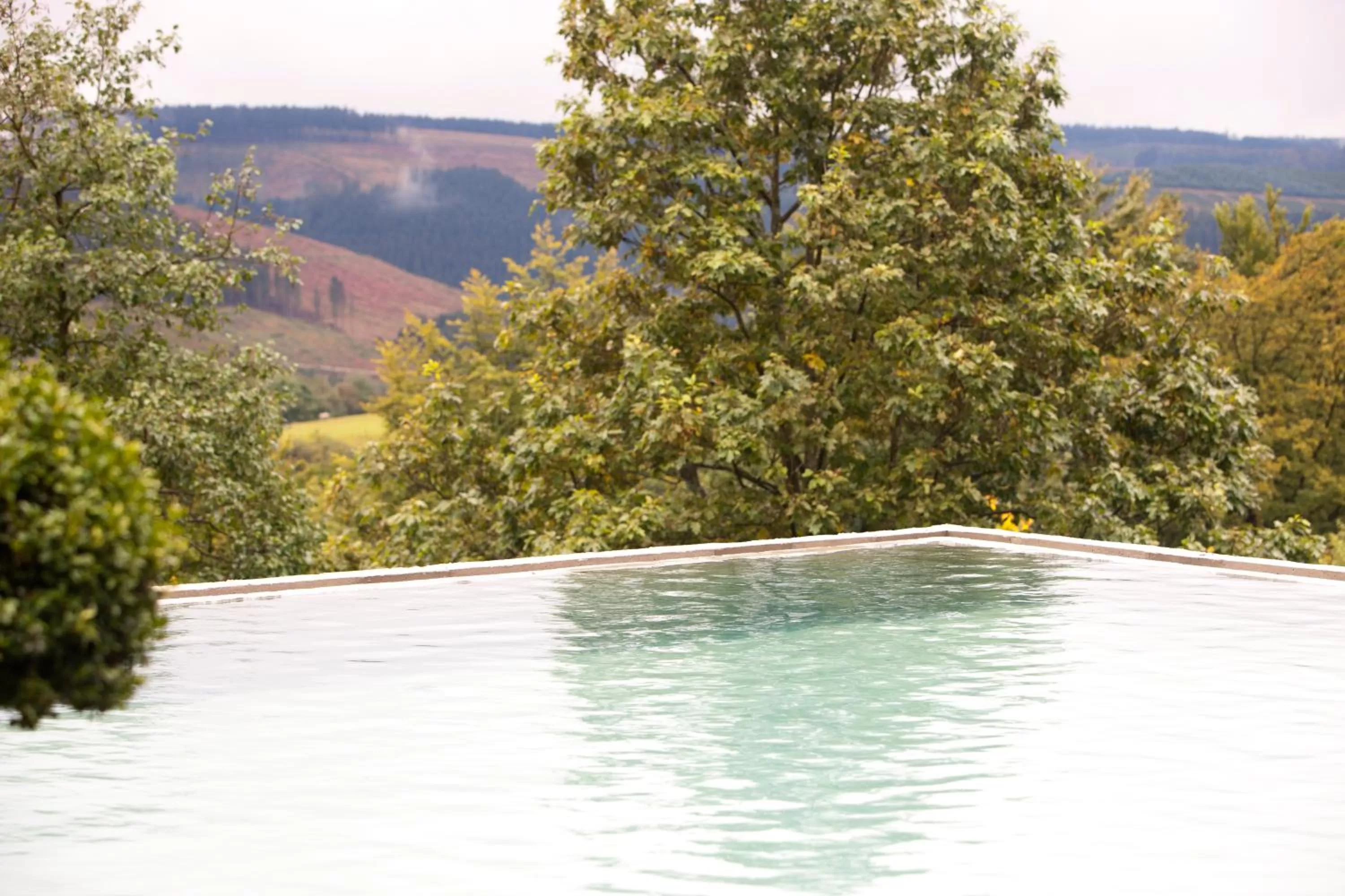 Day, Swimming Pool in Waldhaus Ohlenbach