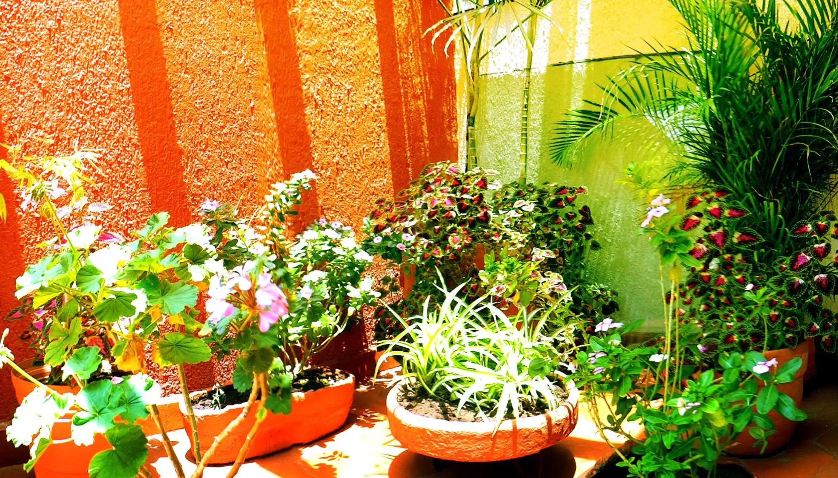 Decorative detail in Hotel Fuente Del Bosque