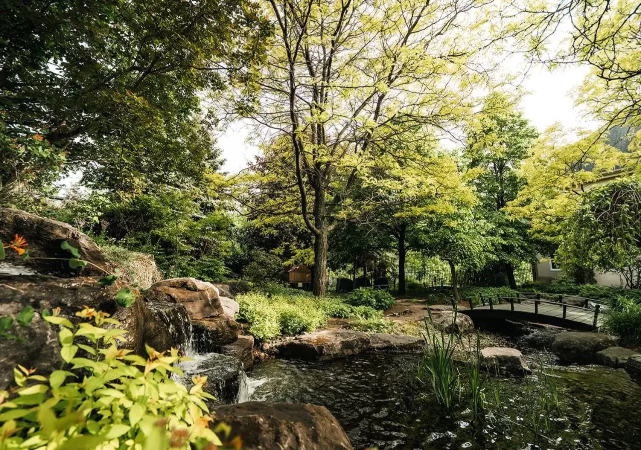 Garden view, Natural Landscape in Hotel Chateau Bromont