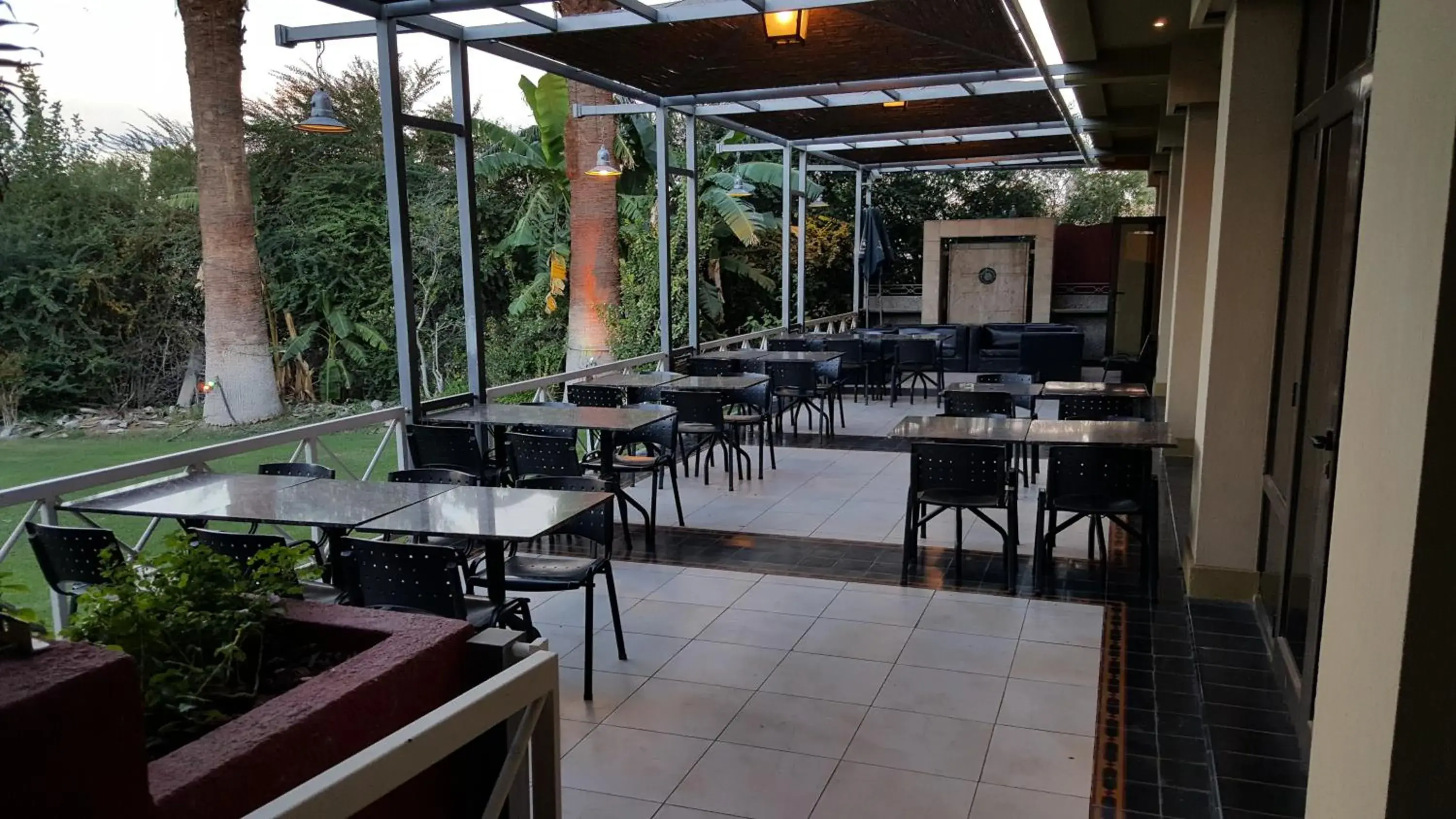 Lounge or bar, Restaurant/Places to Eat in Hotel Viñas Del Sol